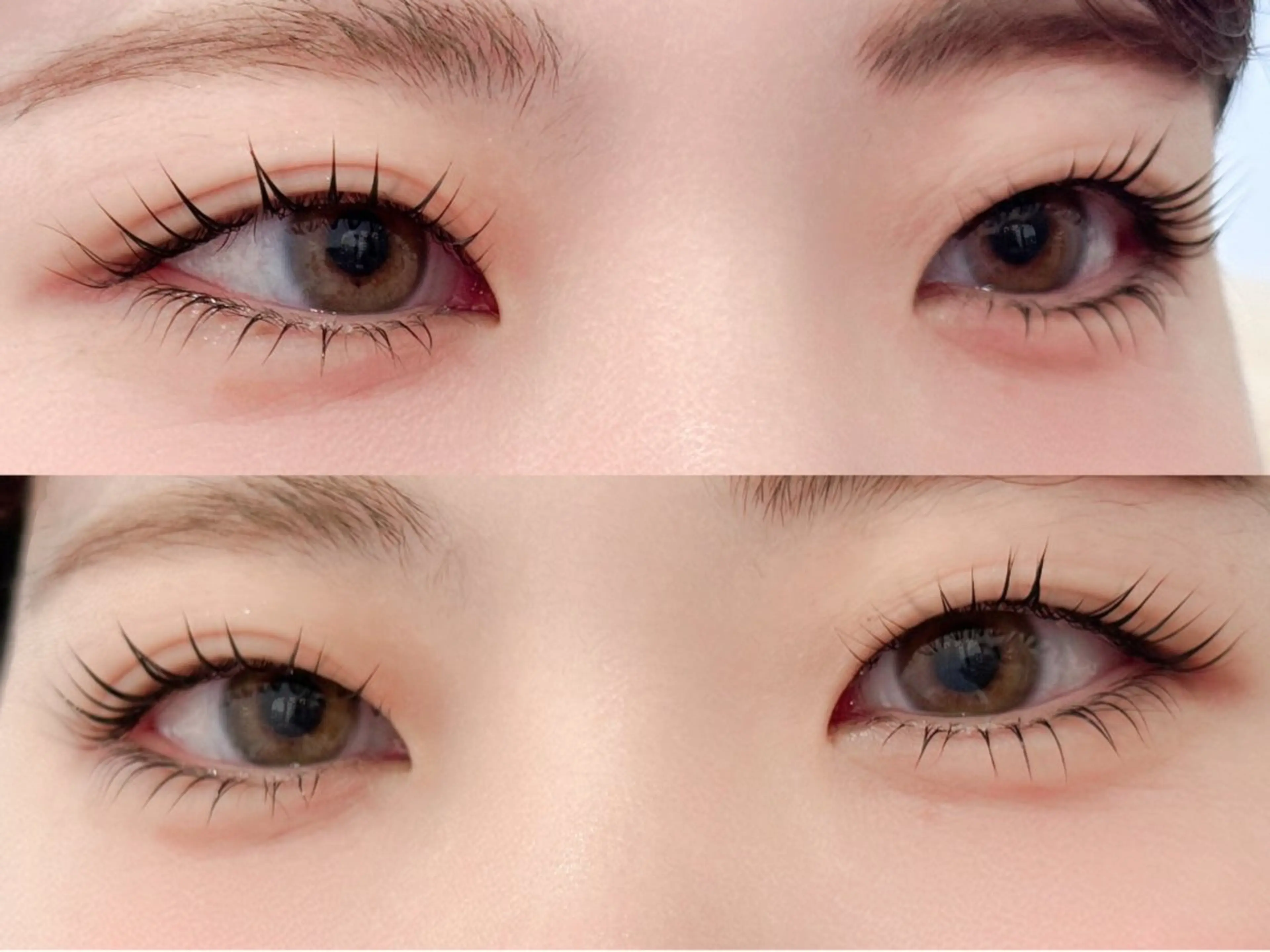 ¥5600パーマ/¥5900パリジェンヌ🌺コーティング&高濃度tr付の写真