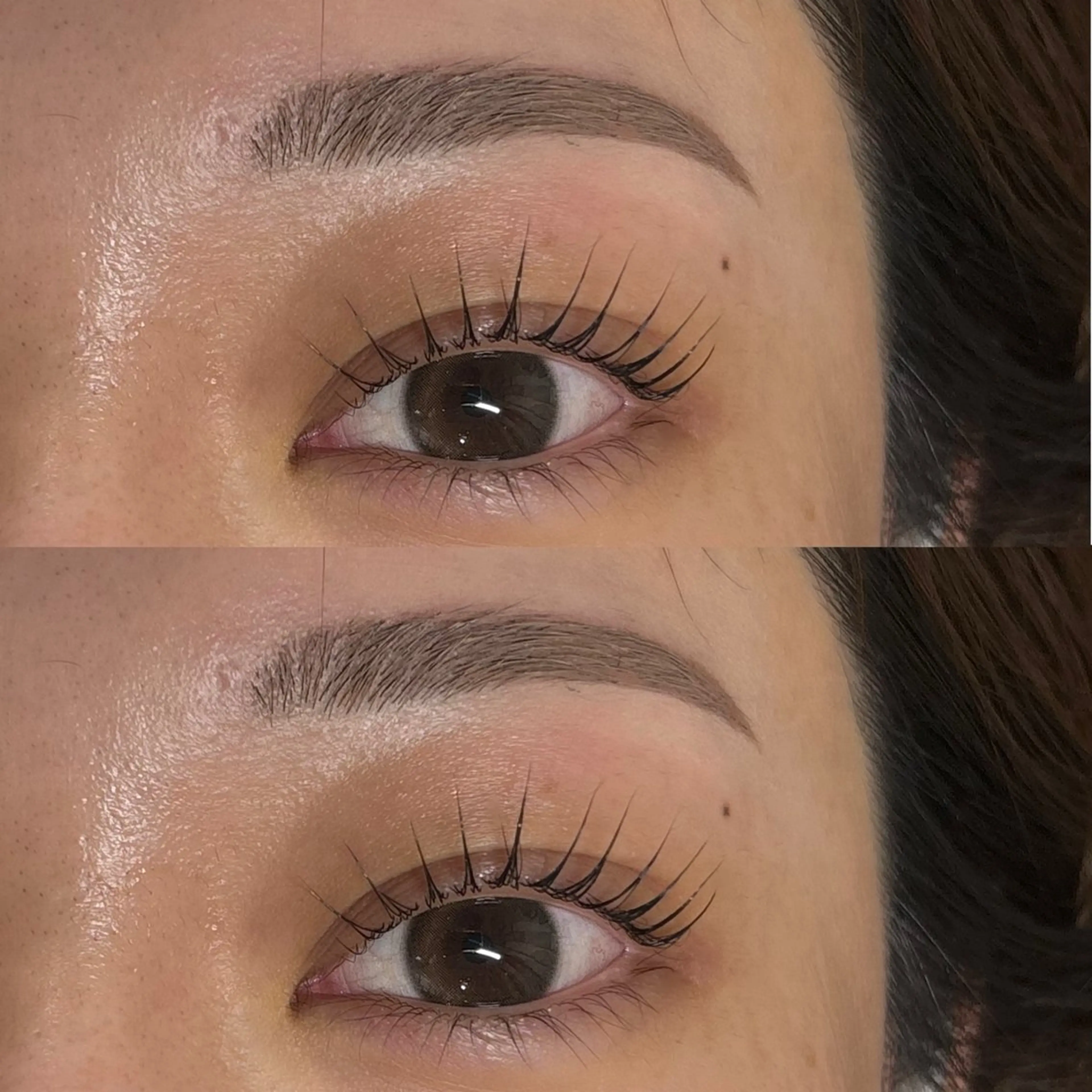 🤍パリジェンヌラッシュ×アイブロウ 魅せる極みデザイン🤍コーティング仕上げの写真