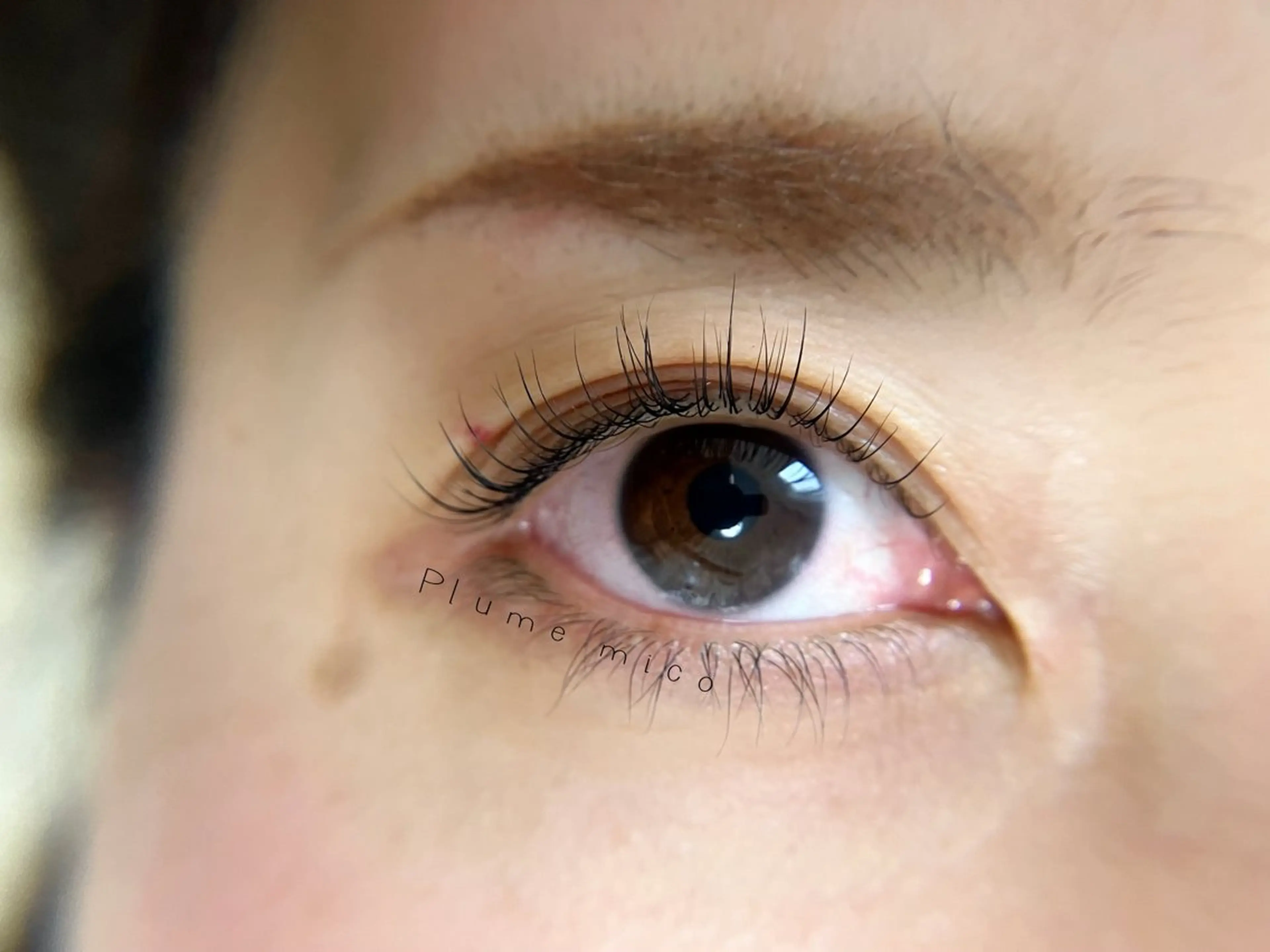 マツエク・マツパ マツパ Plume micoのマツエク・マツパデザイン