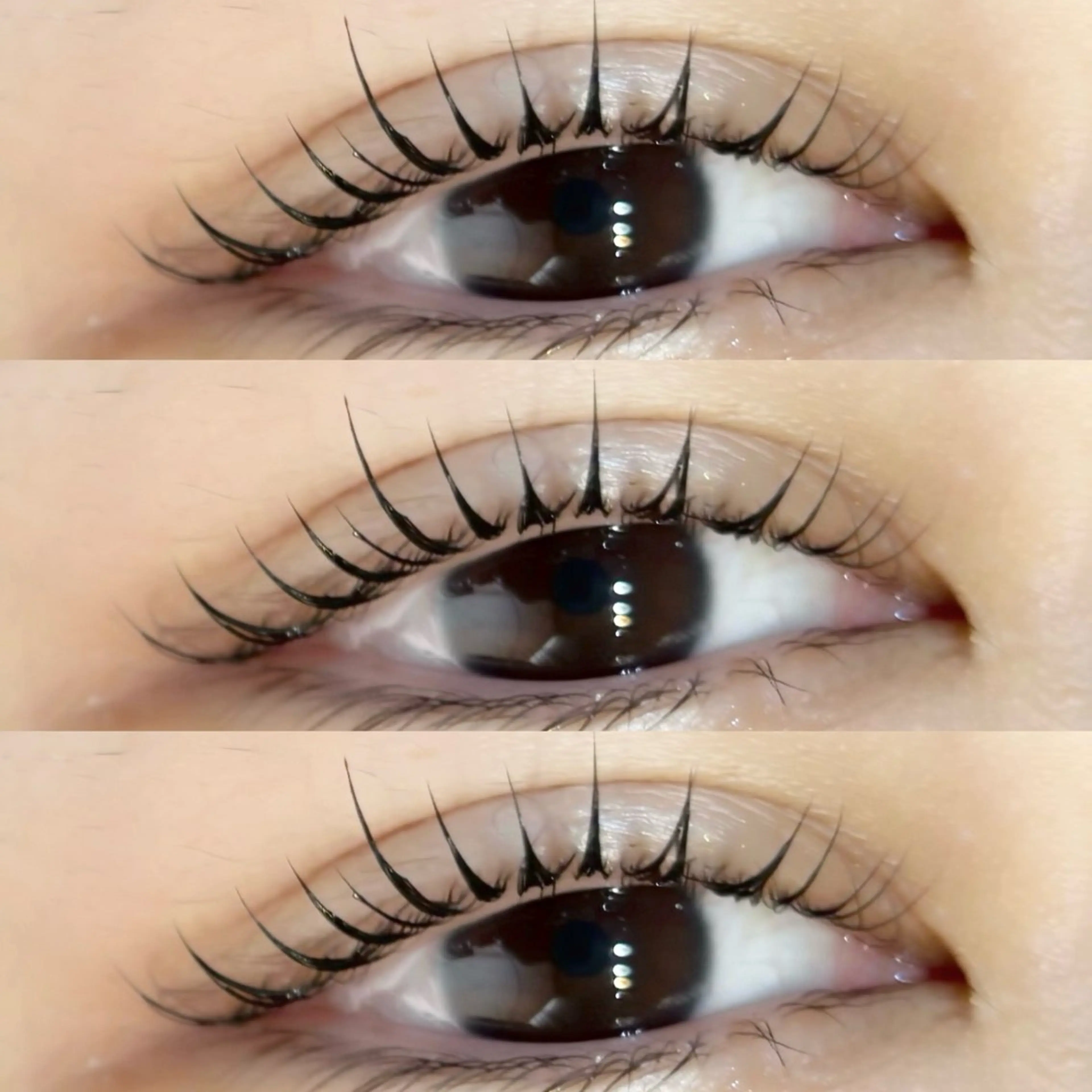 🔔💚3/29(日)限定💚【ラッシュリフトorパリジェンヌ】まつ毛パーマ💚🔔の写真