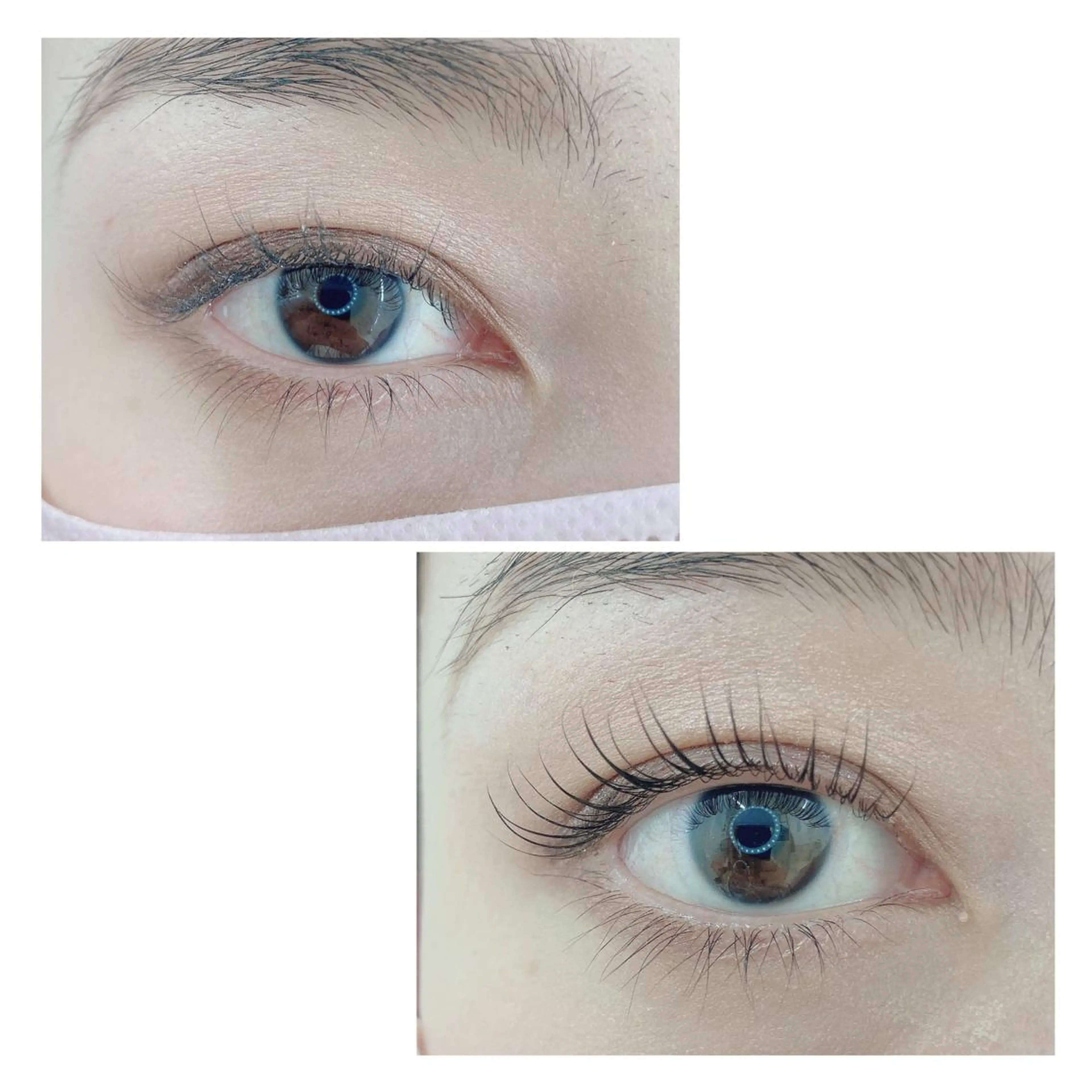 マツエク・マツパ TIARA池袋西口店 店長YASUKA💐のマツエク・マツパデザイン