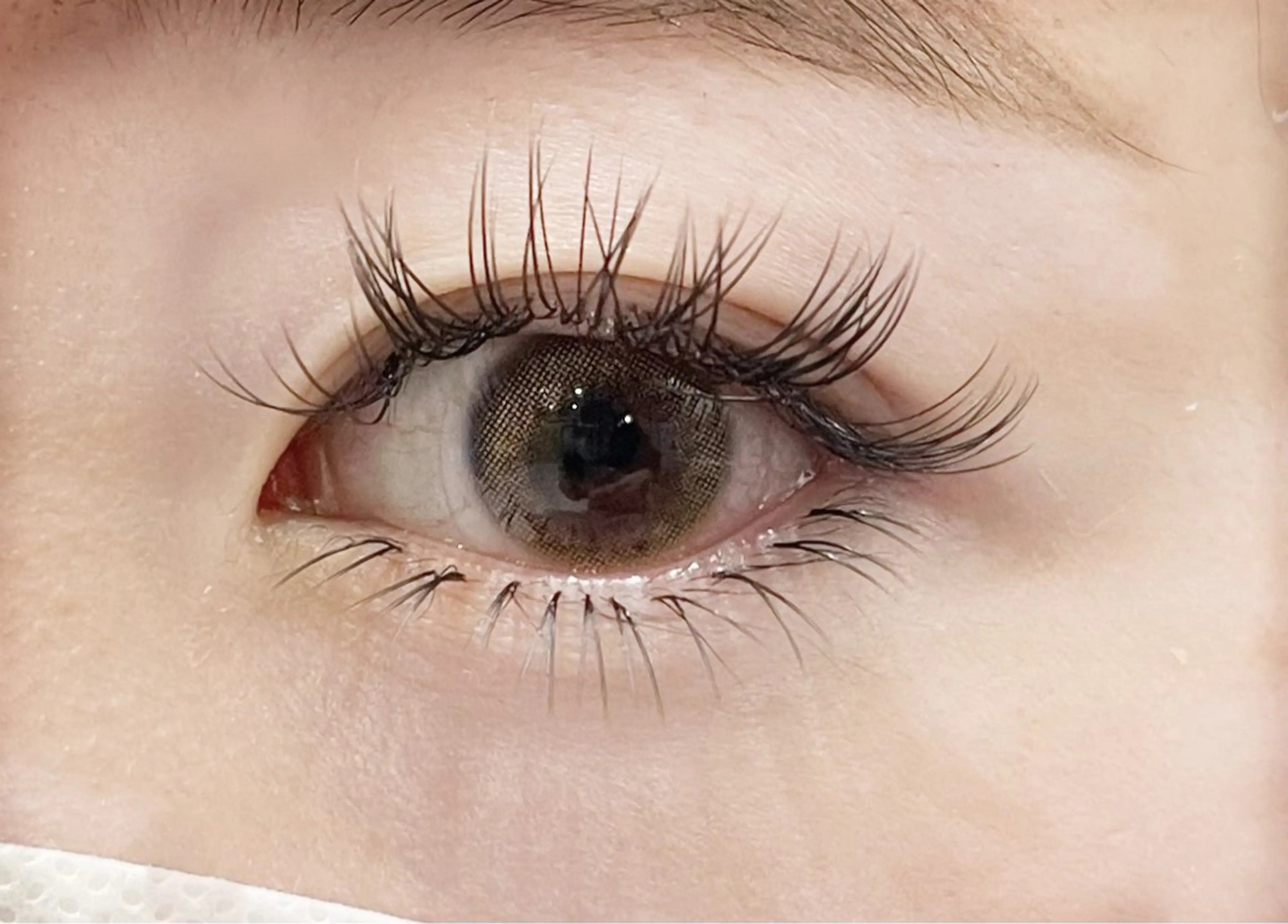 マツエク・マツパ REI 🫧ROYALのマツエク・マツパデザイン