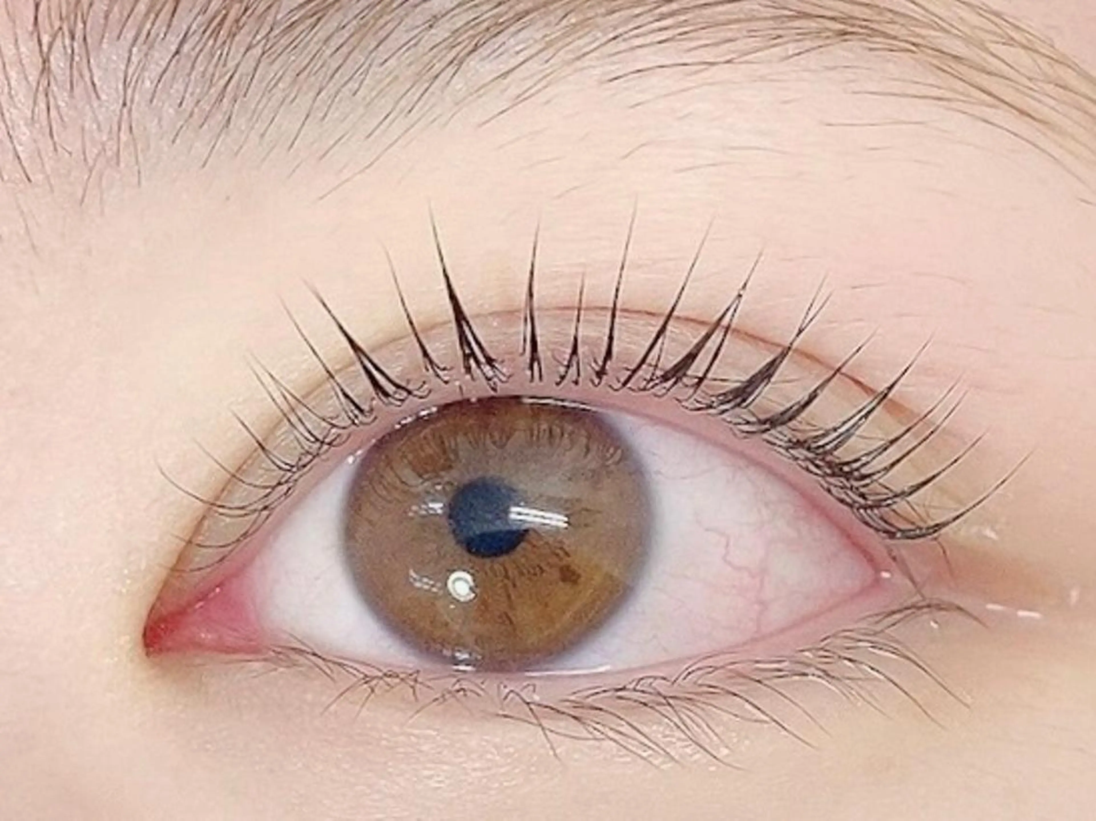 パリジェンヌラッシュリフト　5000円の写真