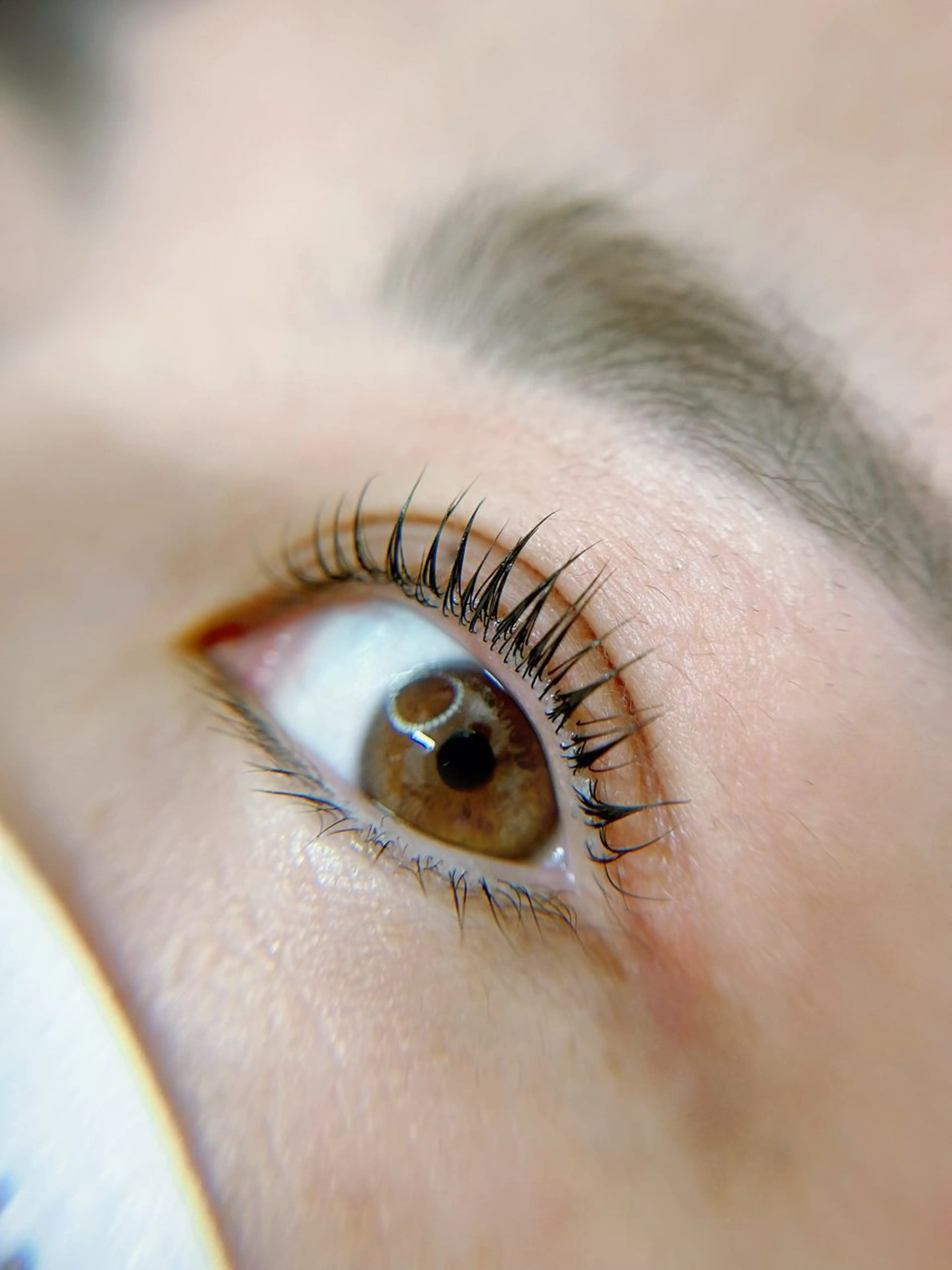 マツエク・マツパ マツパ eyelash salon neu"所属・neu'' /ノイ まつ毛　salonのマツエク・マツパデザイン