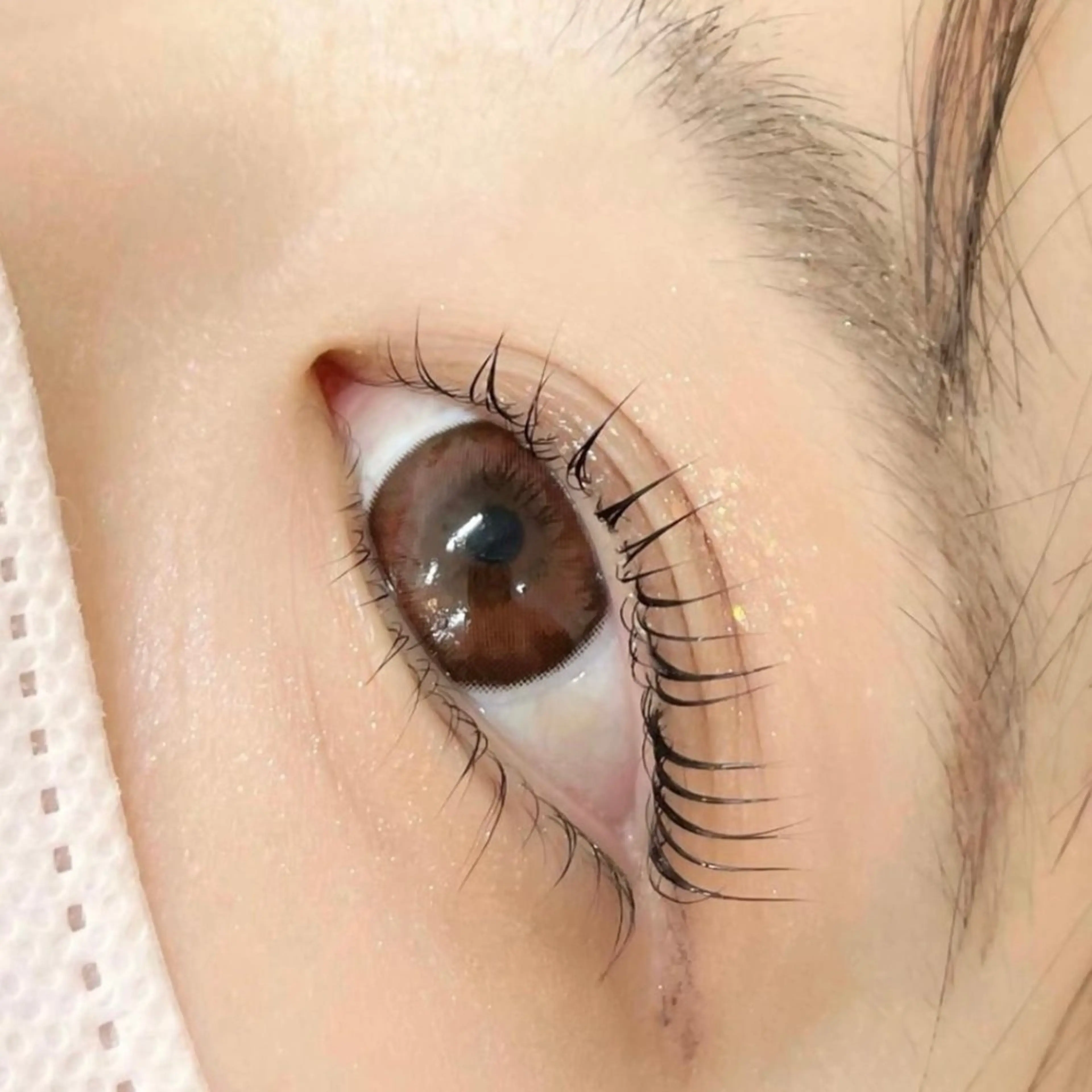 🌱大人気🌱 まつ毛パーマ(上)&アイブロウWax ✨トリートメント仕上げ✨の写真