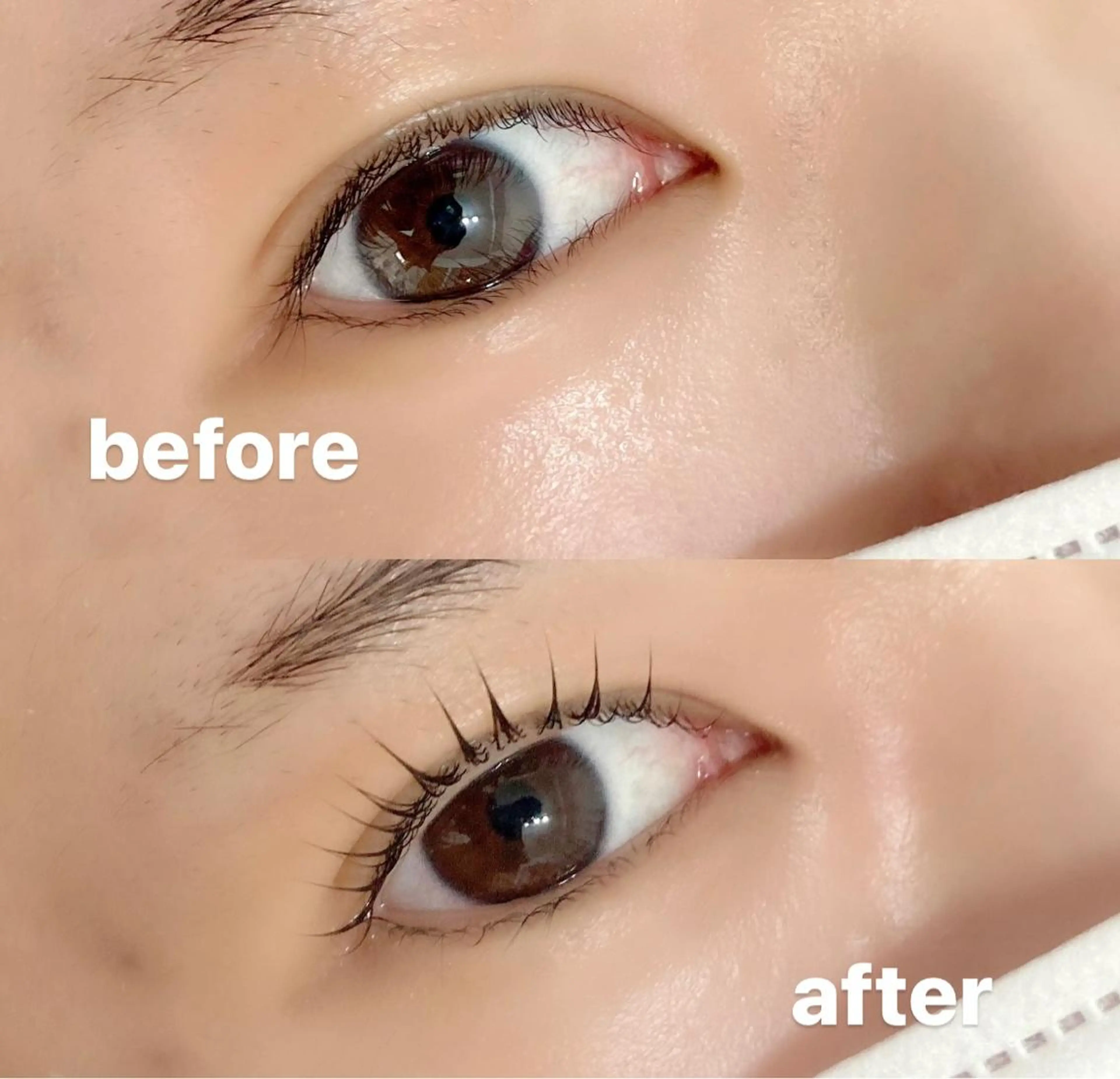 マツエク・マツパ eyelash Aoのマツエク・マツパデザイン