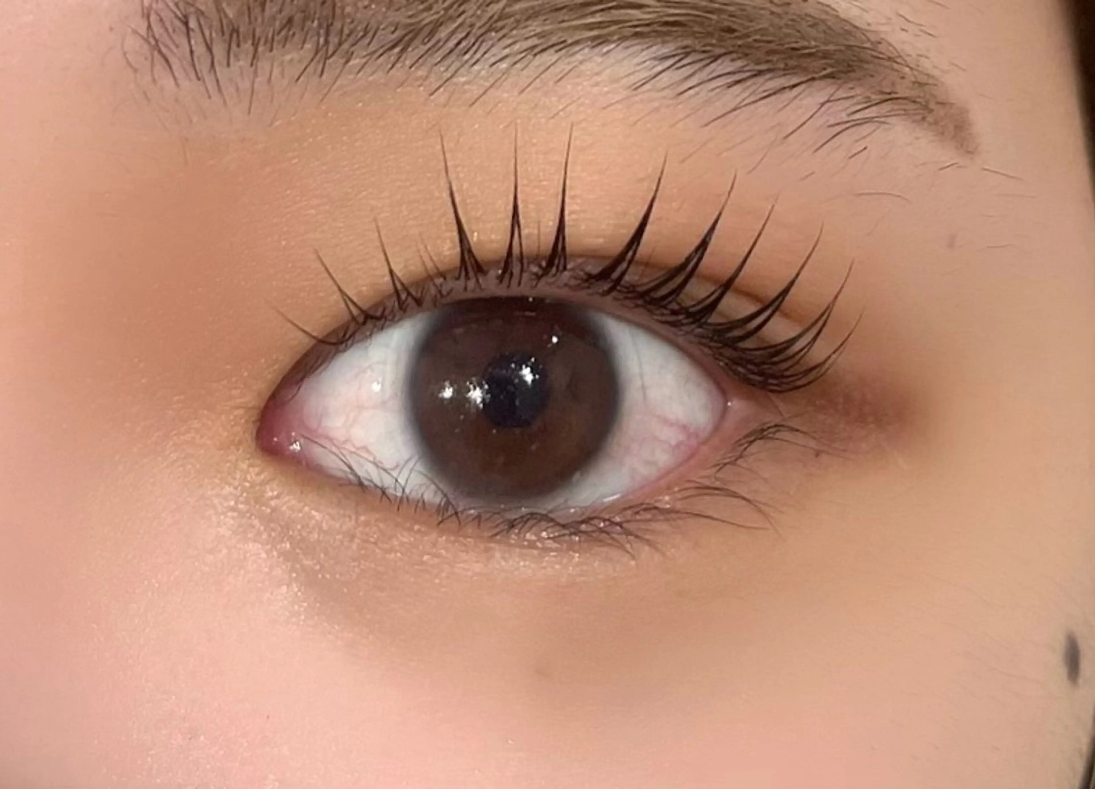 マツエク・マツパ マツパ epill Lenna .🦋のマツエク・マツパデザイン