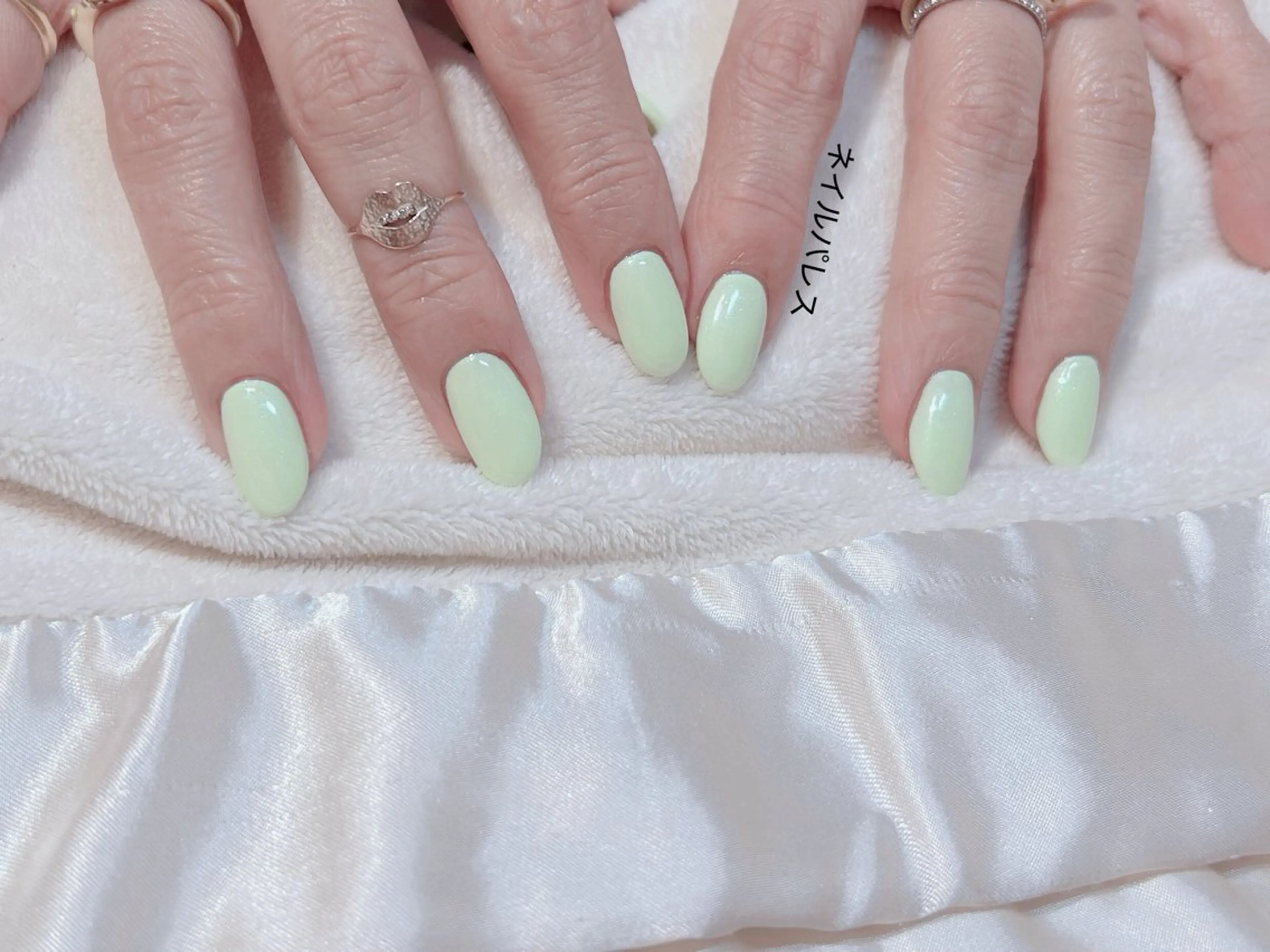 ネイル ハンドネイル ネイルパレス【デザ イン/恵比寿】のネイルデザイン