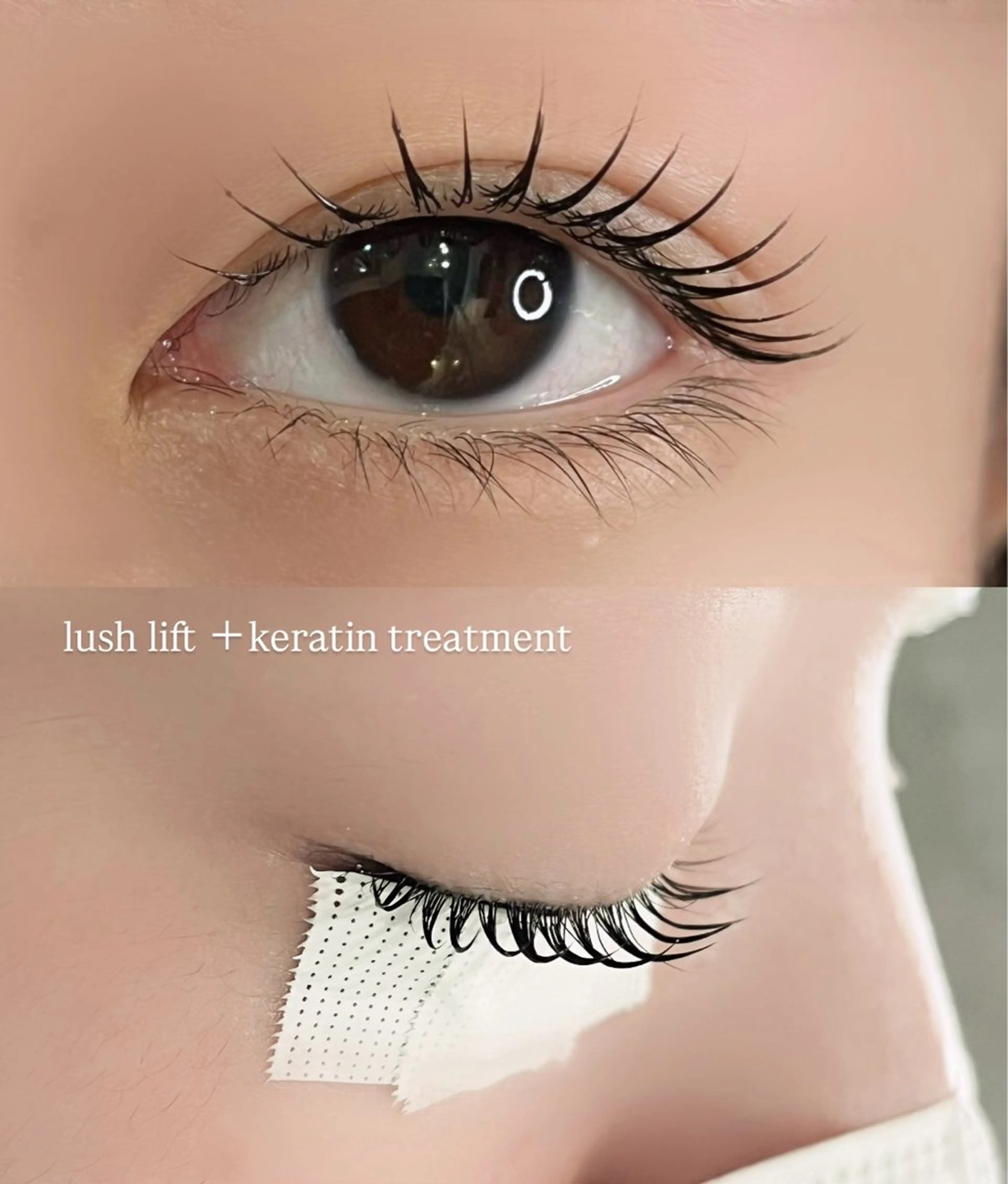 マツエク・マツパ パリジェンヌラッシュリフト マツパ AI🌙登戸/ 骨格分析/眉/まつ毛の眉毛・アイブロウイメージ