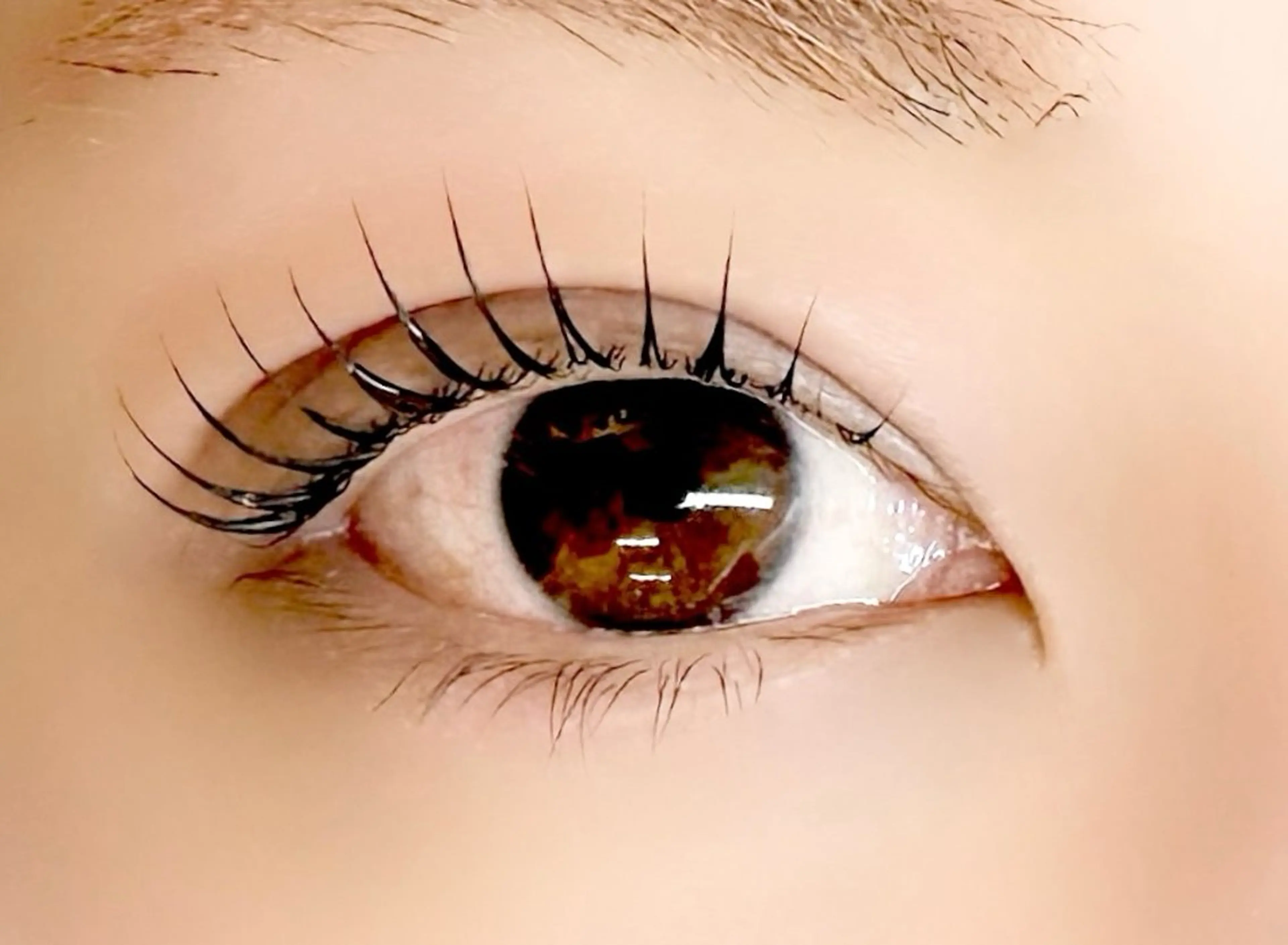 マツエク・マツパ バインドロック パリジェンヌラッシュリフト まつげパーマ 一重×まつ毛パーマ ベルクルール MIYUのマツエク・マツパデザイン