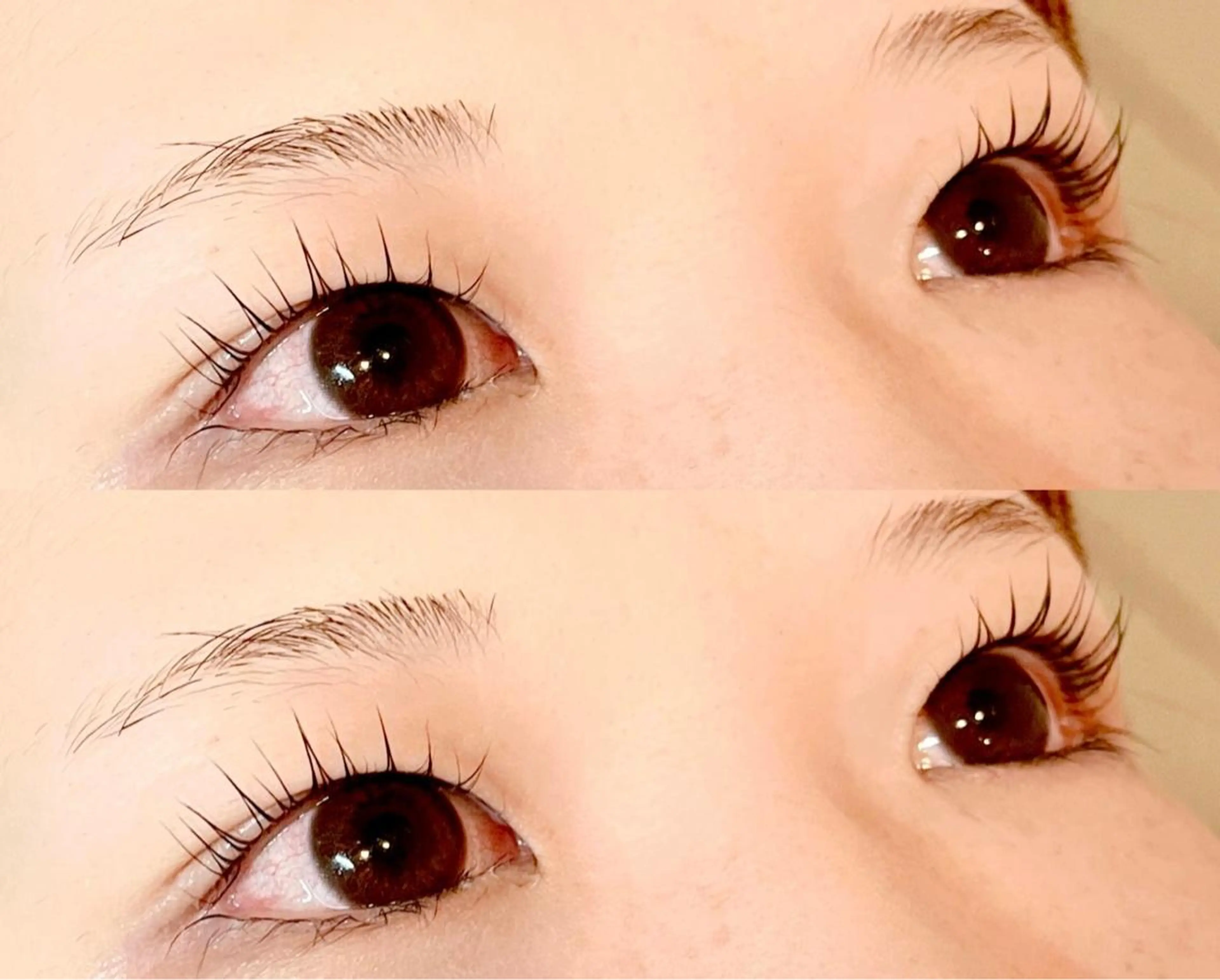 マツエク・マツパ パリジェンヌラッシュリフト Eyelash & BeautySalon Serenity所属・Serenity 北区のマツエク・マツパデザイン