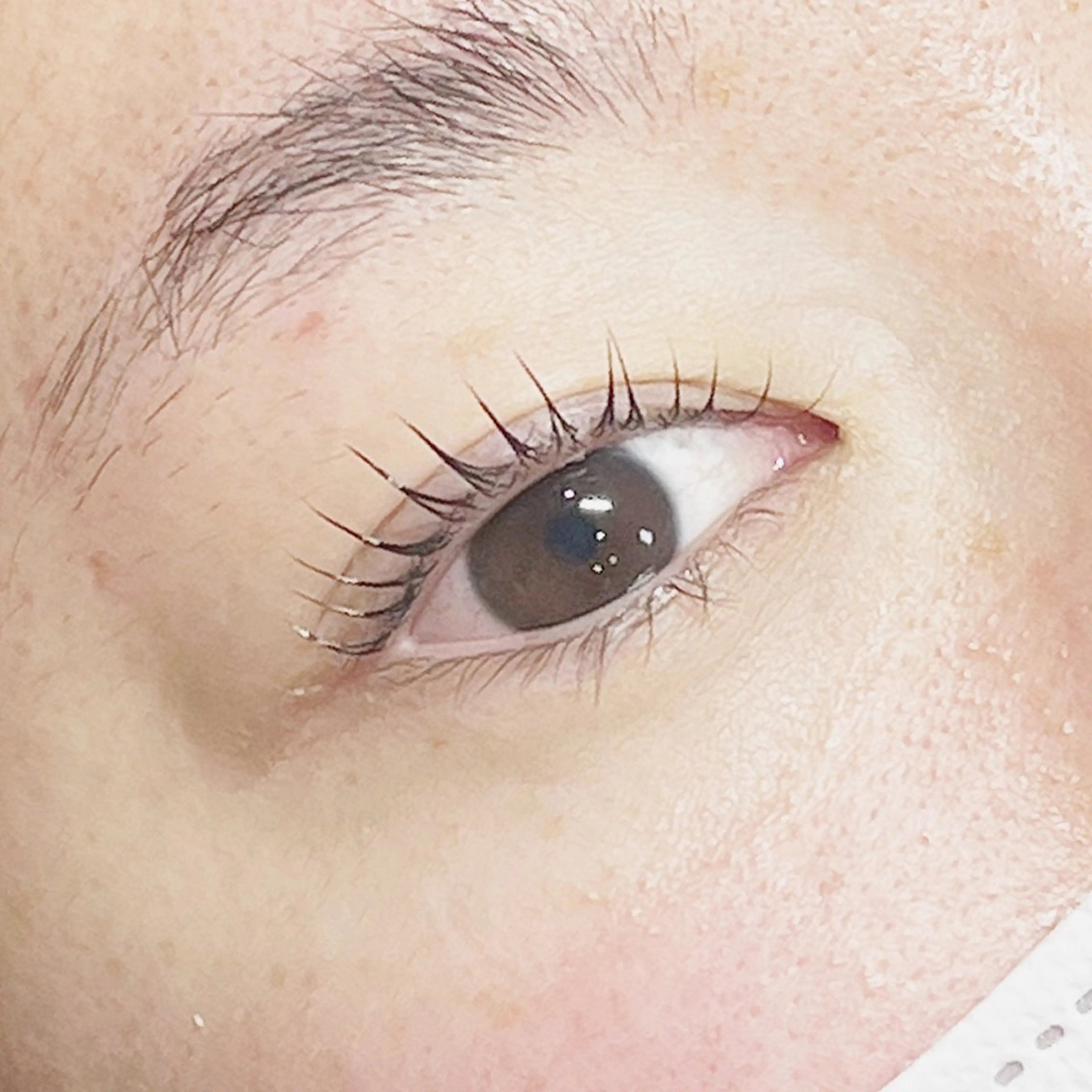 マツエク・マツパ ‎🤍eye‎🤍 miuのマツエク・マツパデザイン