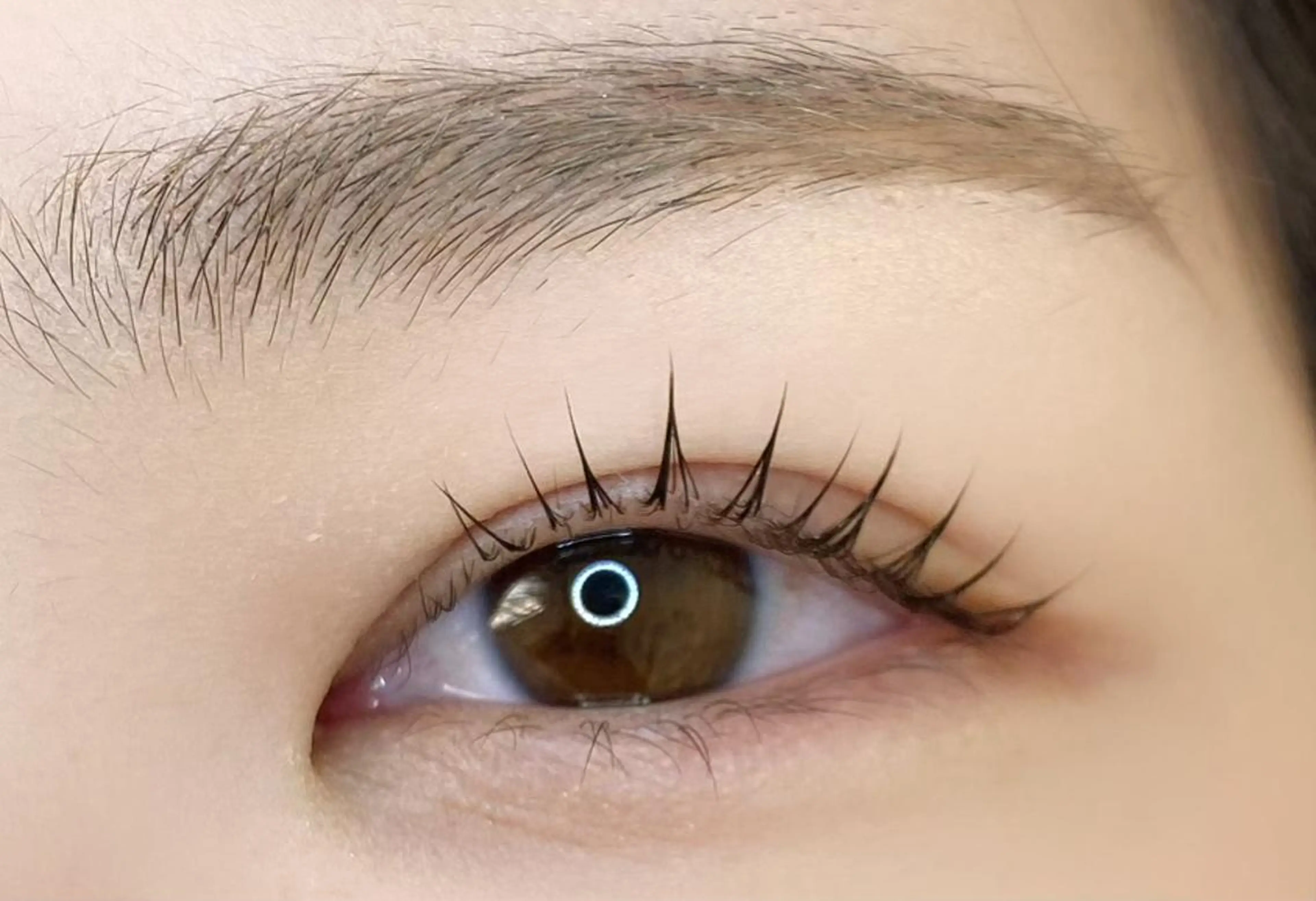 💙リピーター様【2.3回目まで】ラッシュリフト ￥5,660 【4回目以降】￥6,660の写真