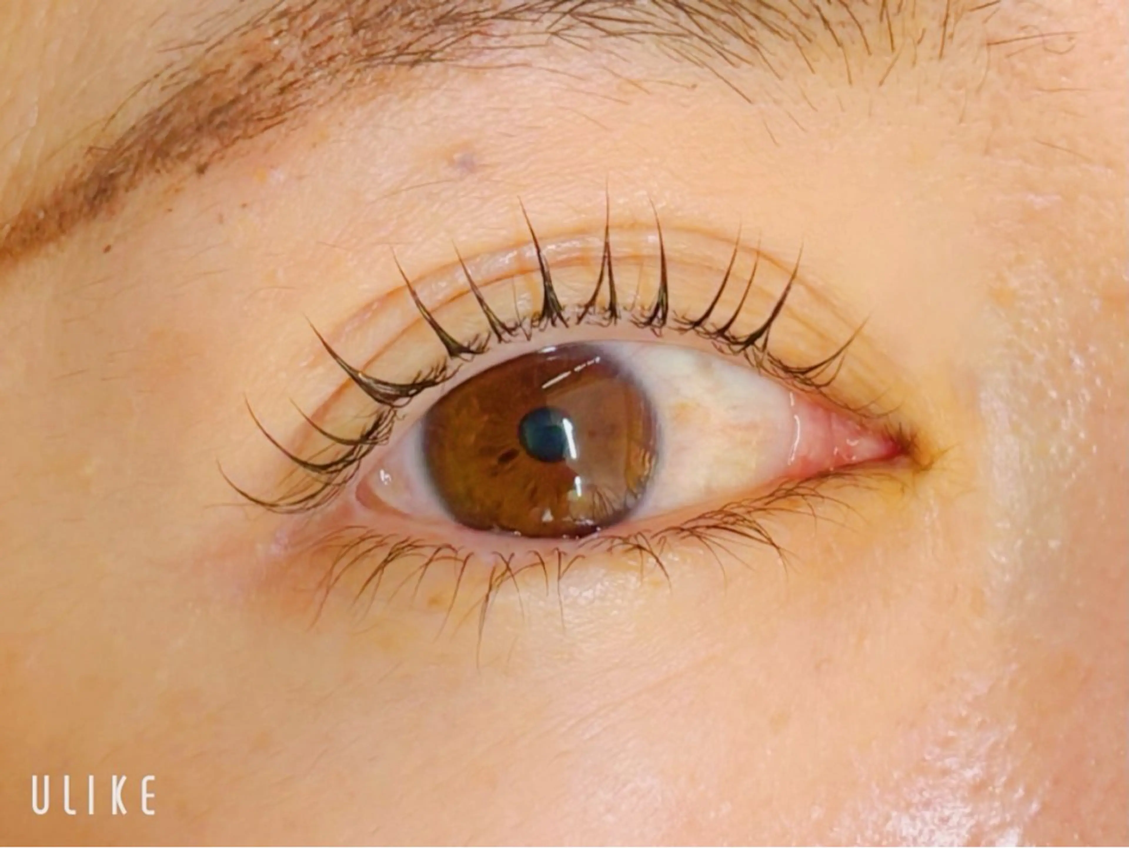 マツエク・マツパ TERRA MAYUのマツエク・マツパデザイン