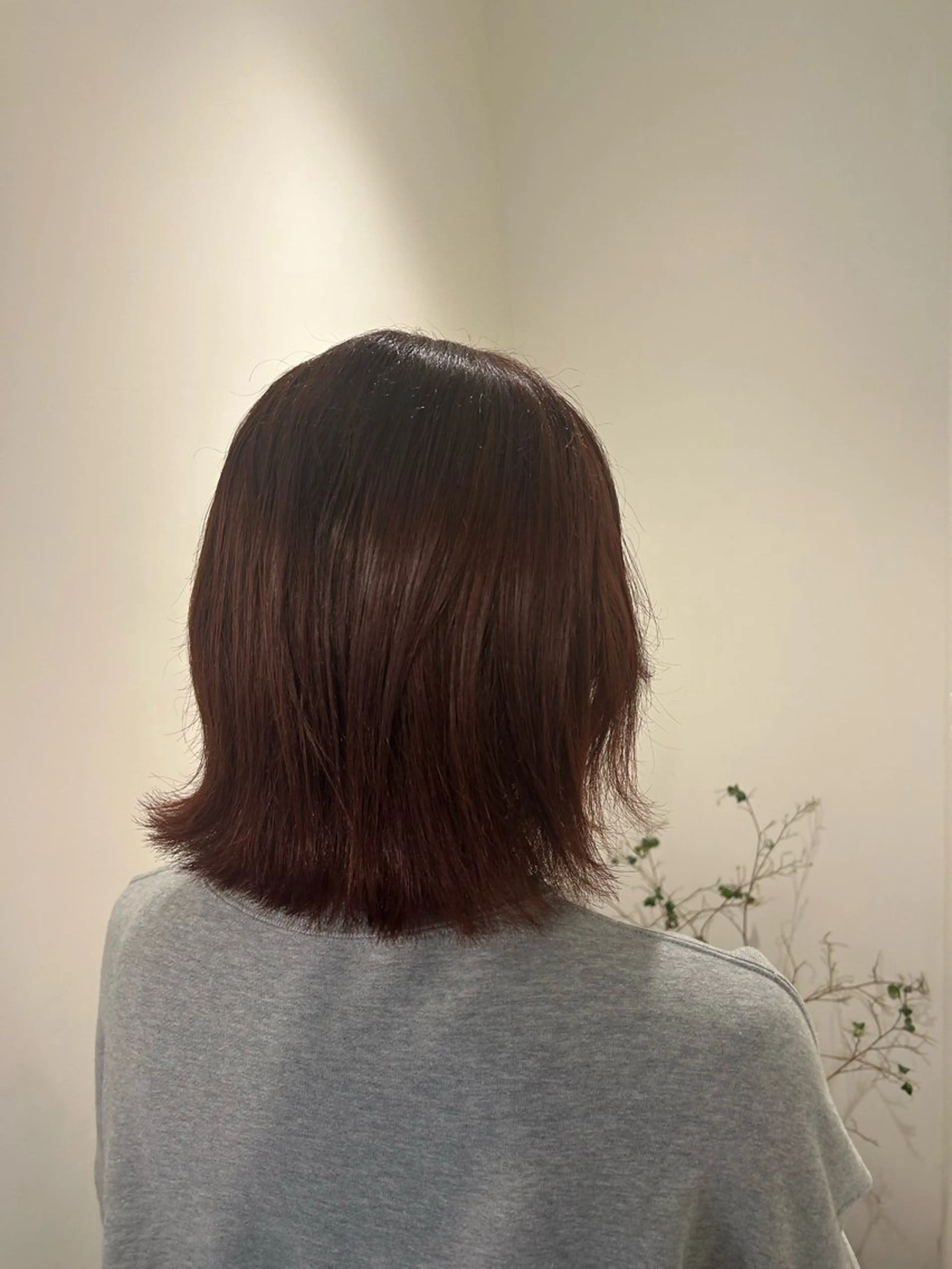 ミディアム miyou /FILMS🐕🐾のヘアスタイル