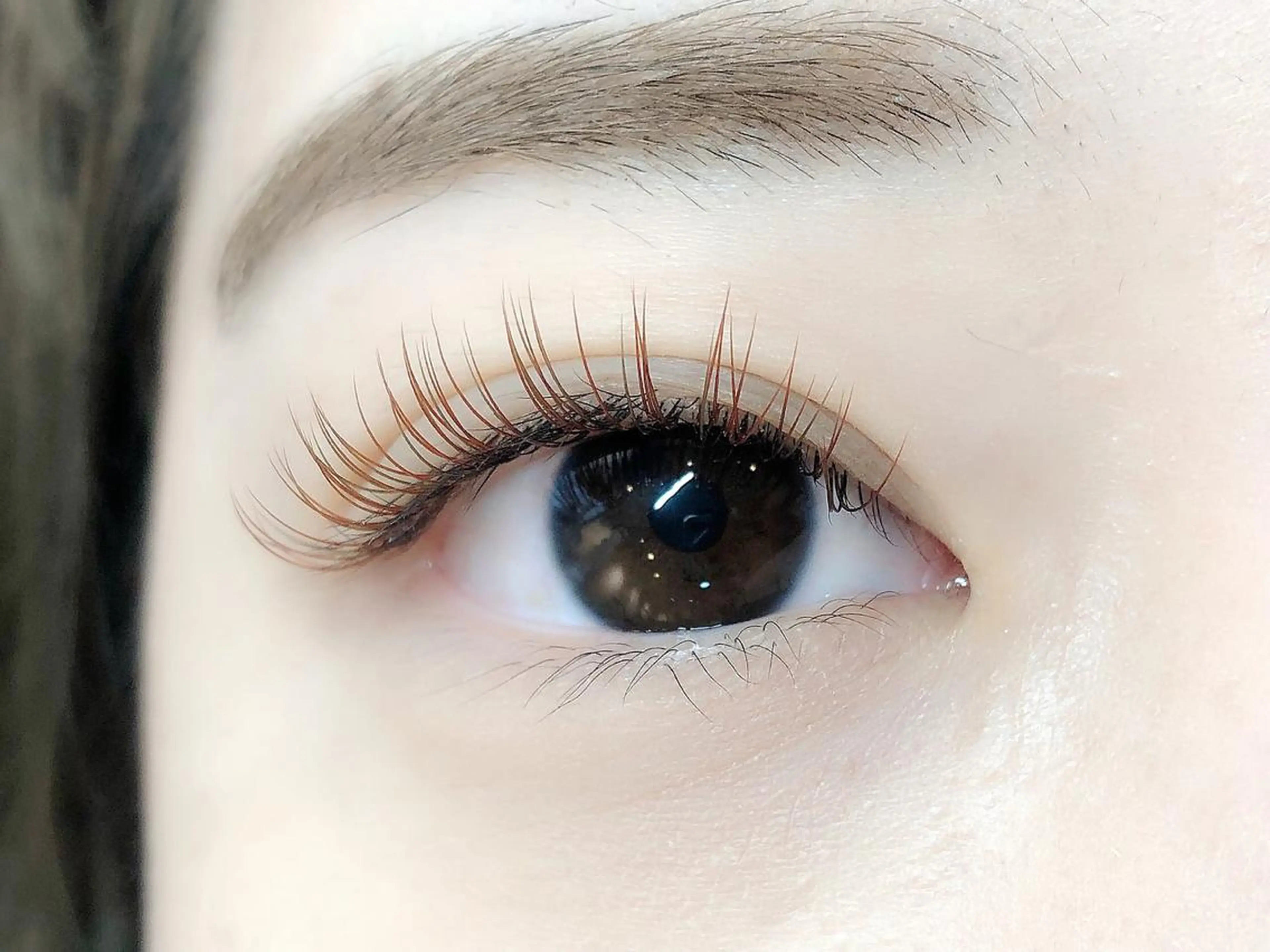 【ご新規様限定‼️】ブラウンカラー80本コーティング付♡（45分）の写真