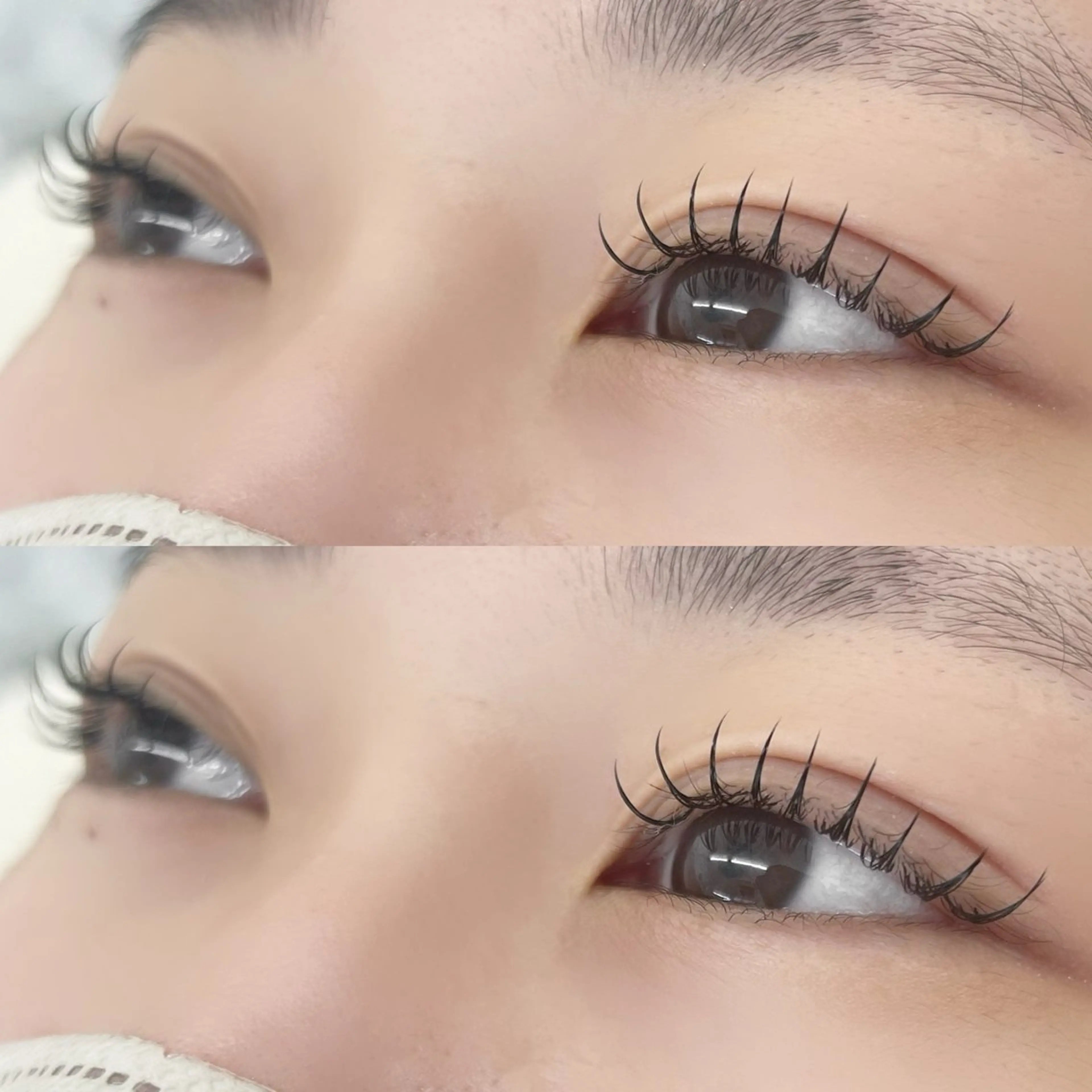 🦋 モチ◎フラットラッシュ100本【オフ有り】の写真