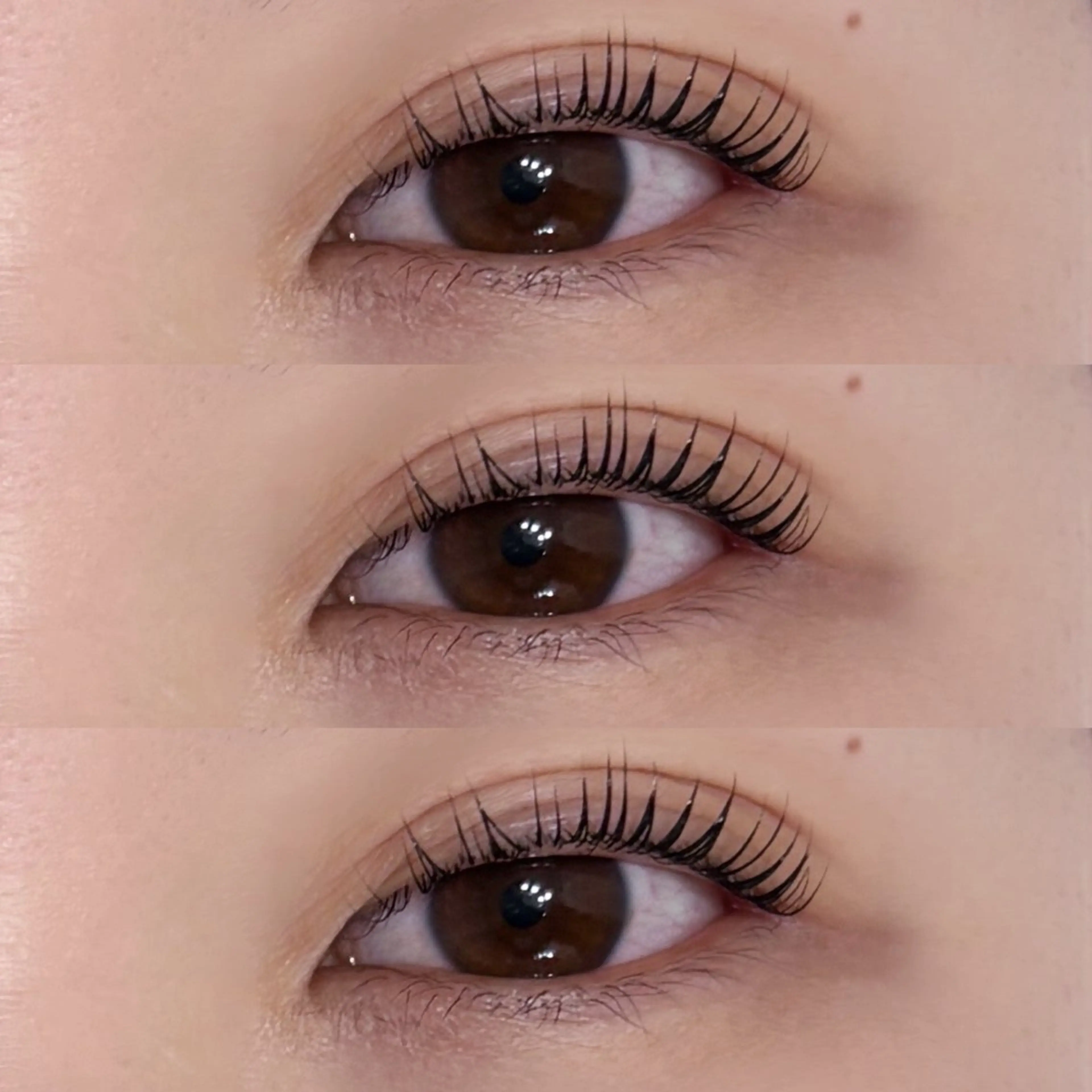 マツエク・マツパ Froom🪷 まりものマツエク・マツパデザイン