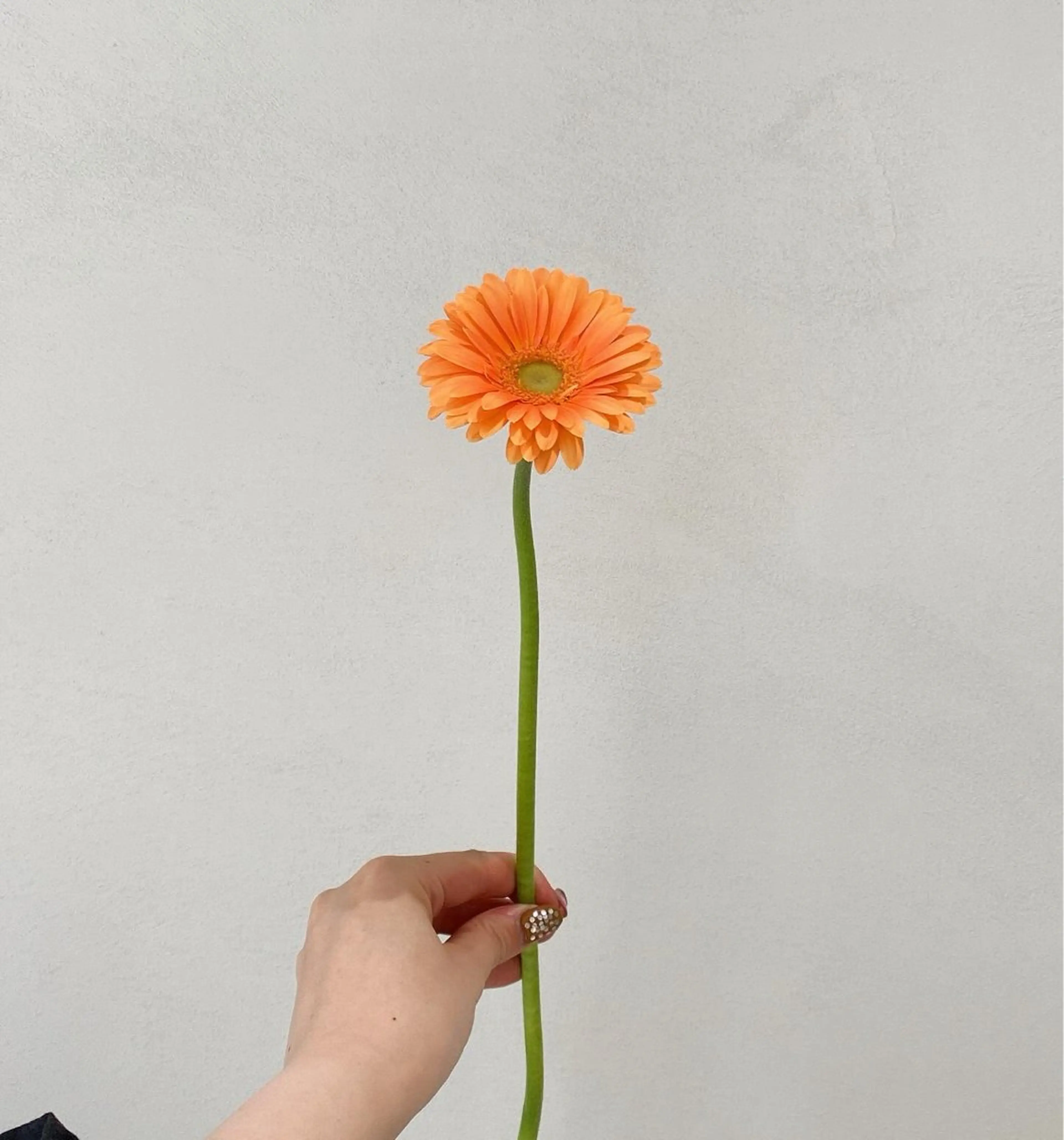 《保育付きメニュー》【🌷お花一輪プレゼント🌷】カット+透明感カラー+COTAトリートメントの写真