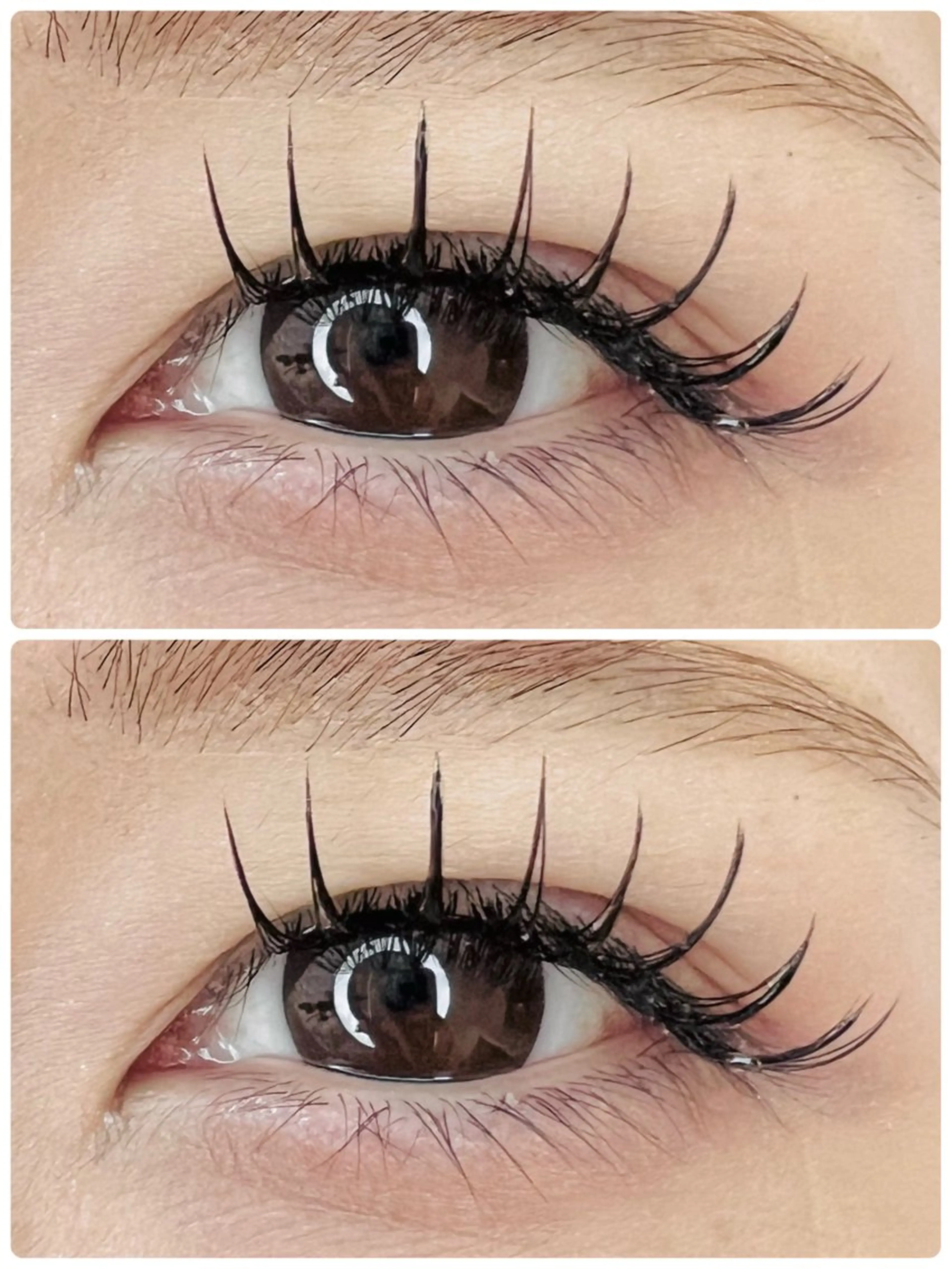 マツエク・マツパ 🧸Celeste Venusのマツエク・マツパデザイン