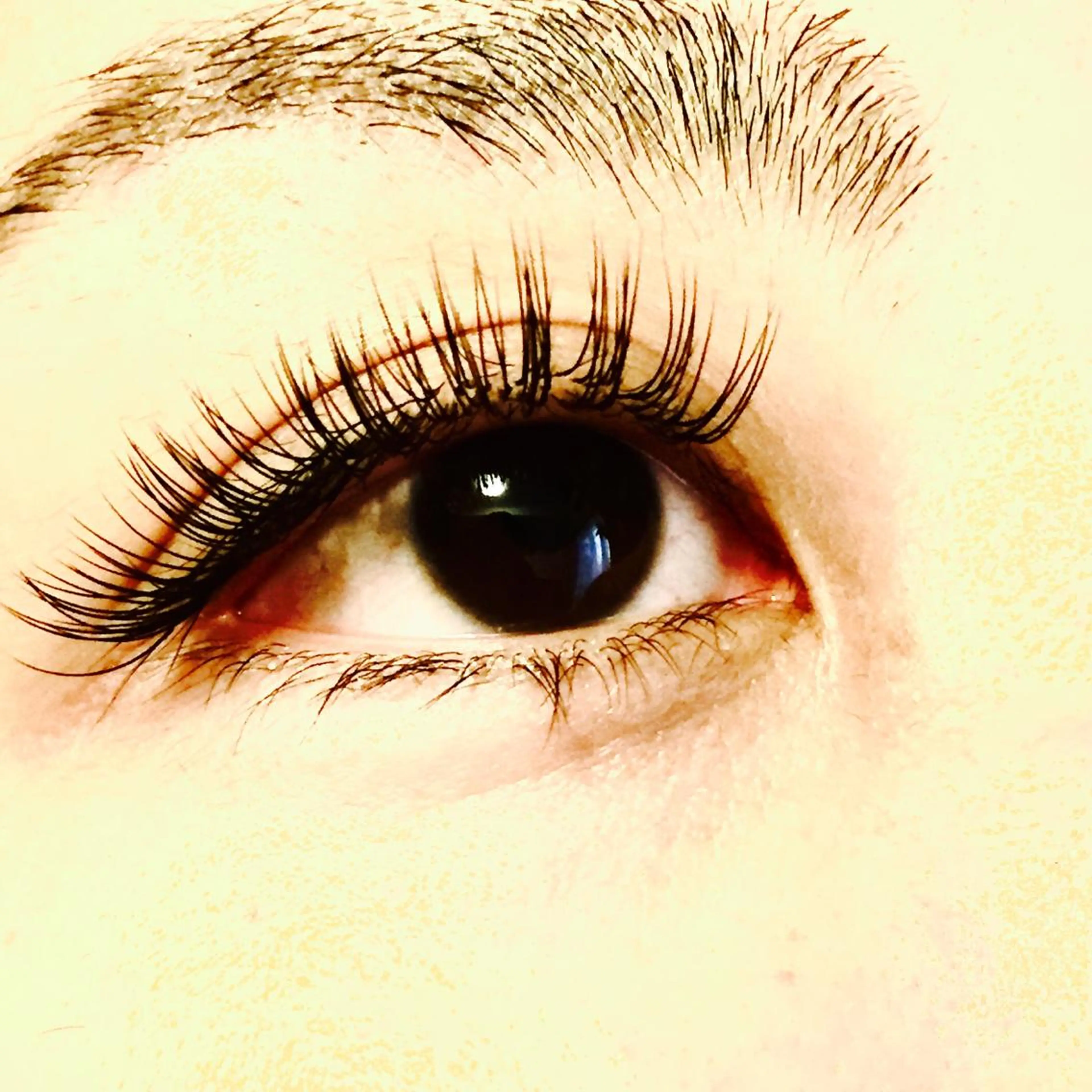 マツエク・マツパ Cカール キュート 目黒　SOL （ソル）のマツエク・マツパデザイン