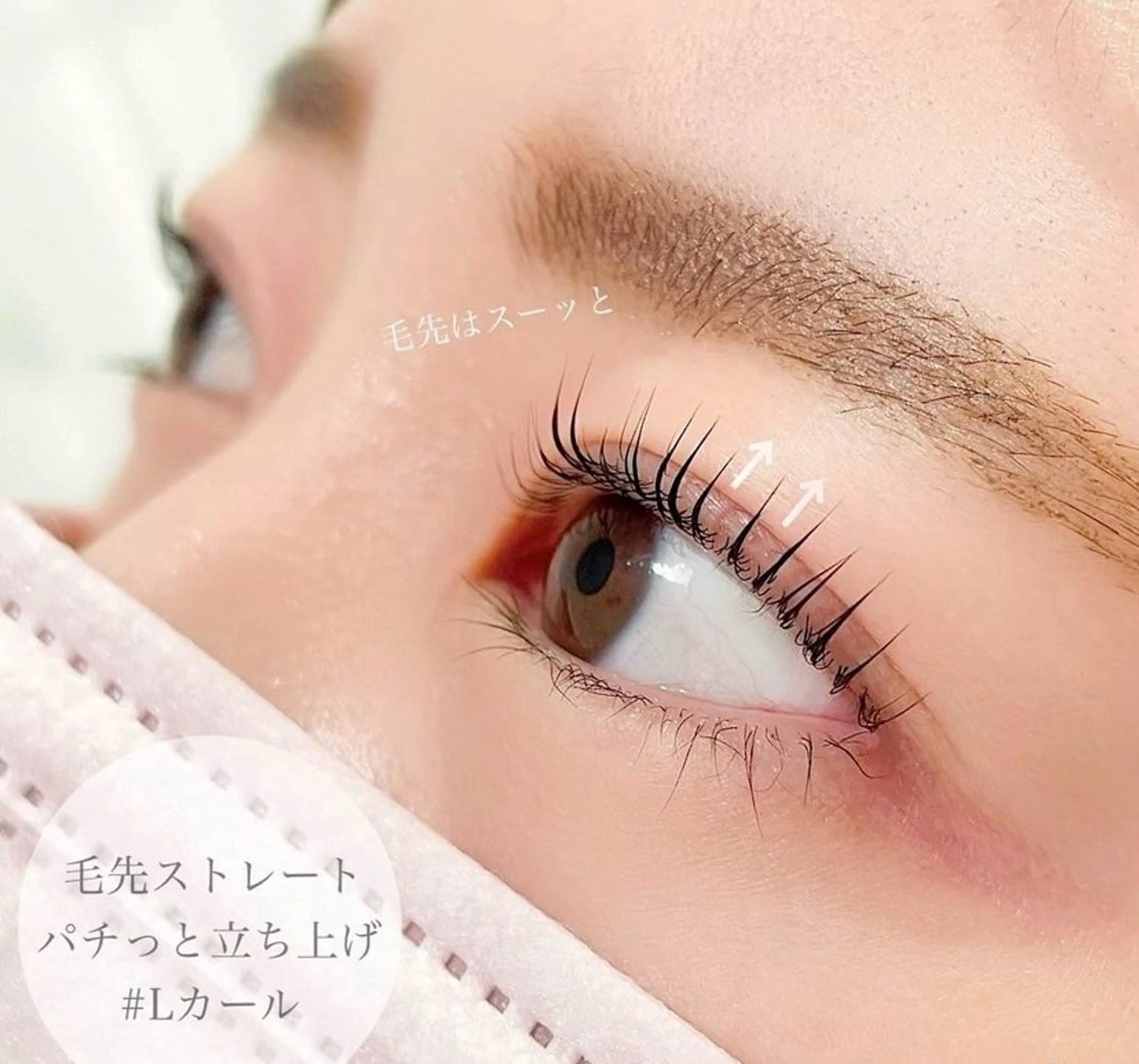 ラッシュリフト【上下セットメニュー💐🤍】の写真