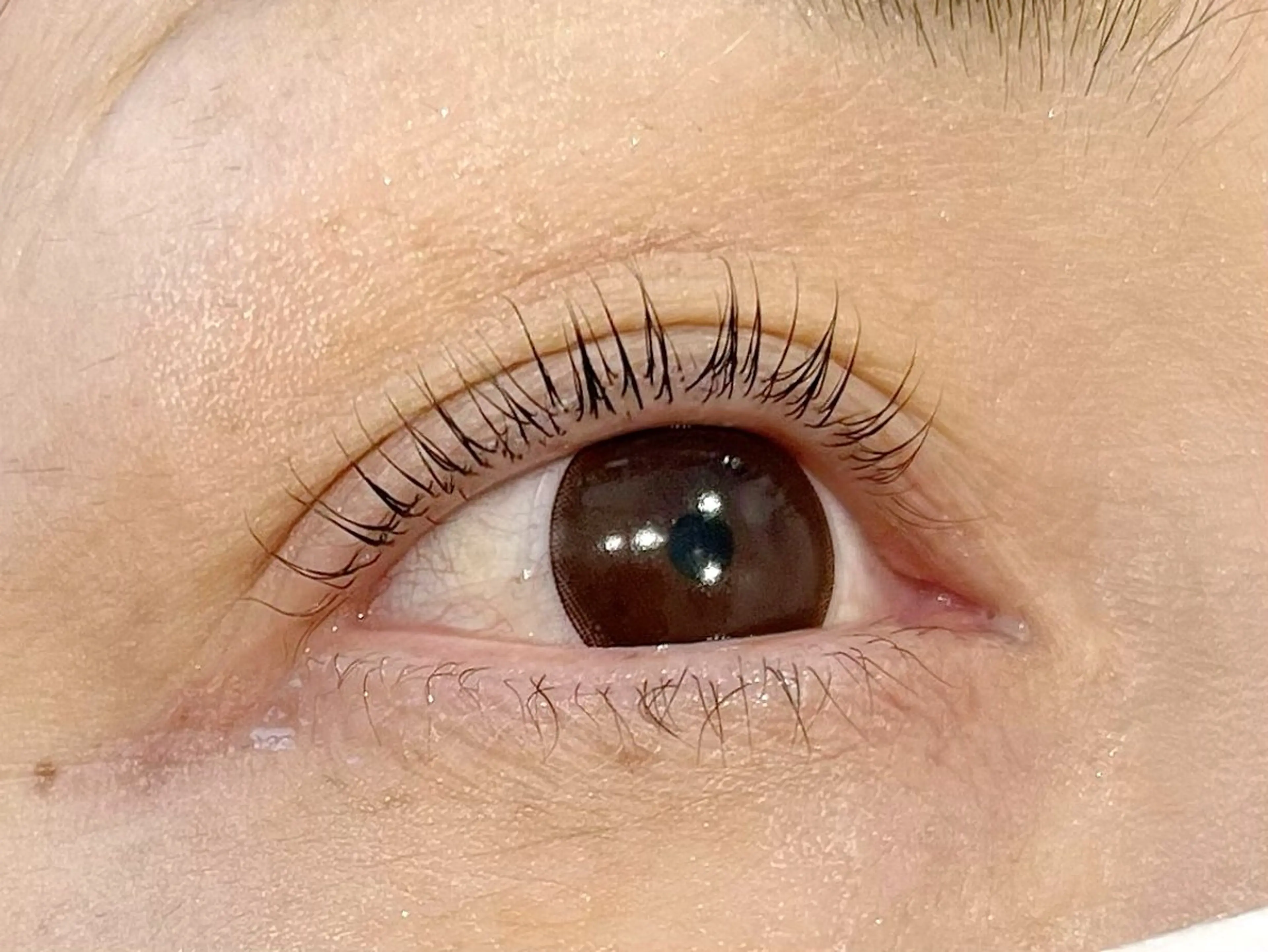 マツエク・マツパ マツパ epill Lenna .🦋のマツエク・マツパデザイン