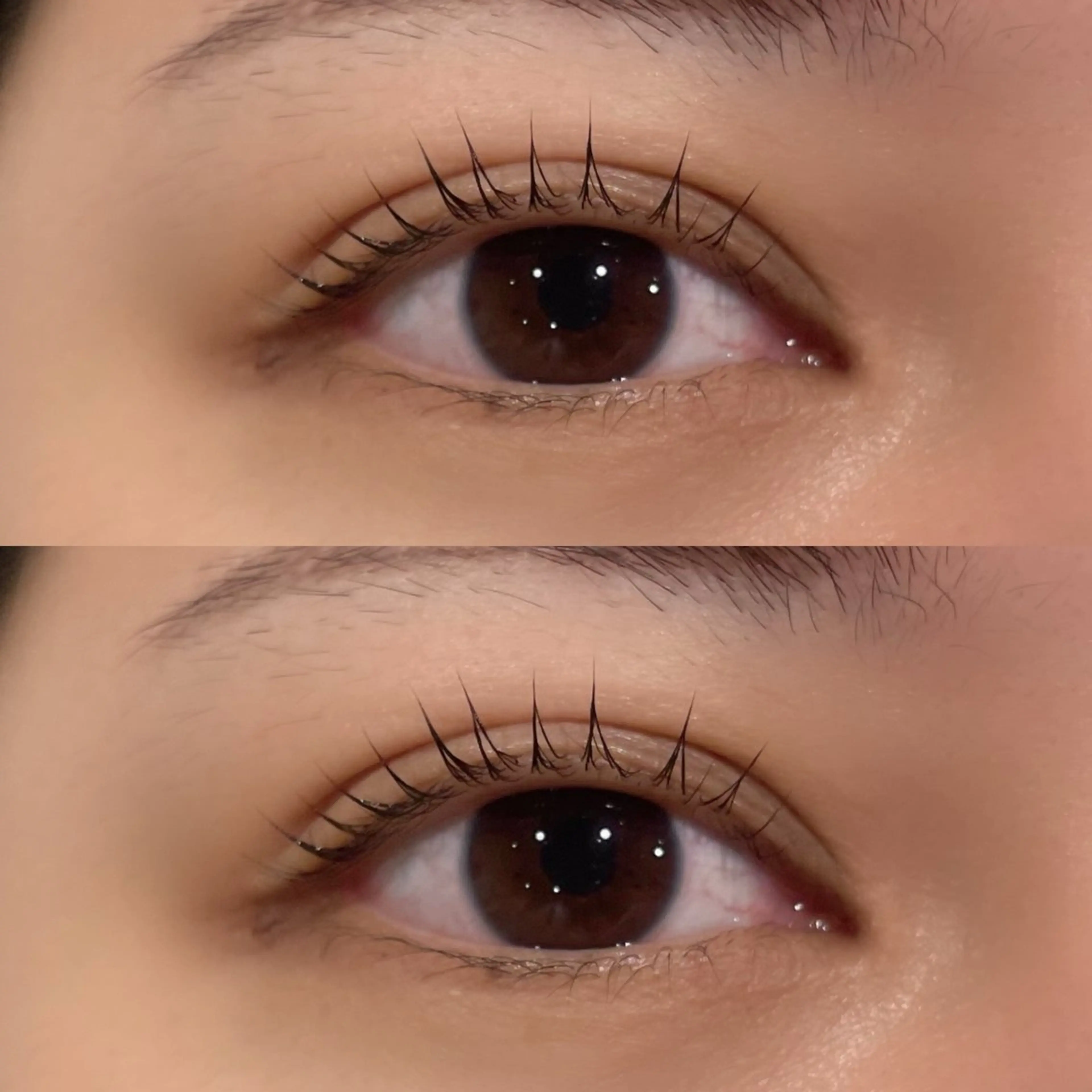 パリジェンヌorまつ毛パーマ【施術時間60分】（時間指定あり）※注意事項をお読みください※の写真