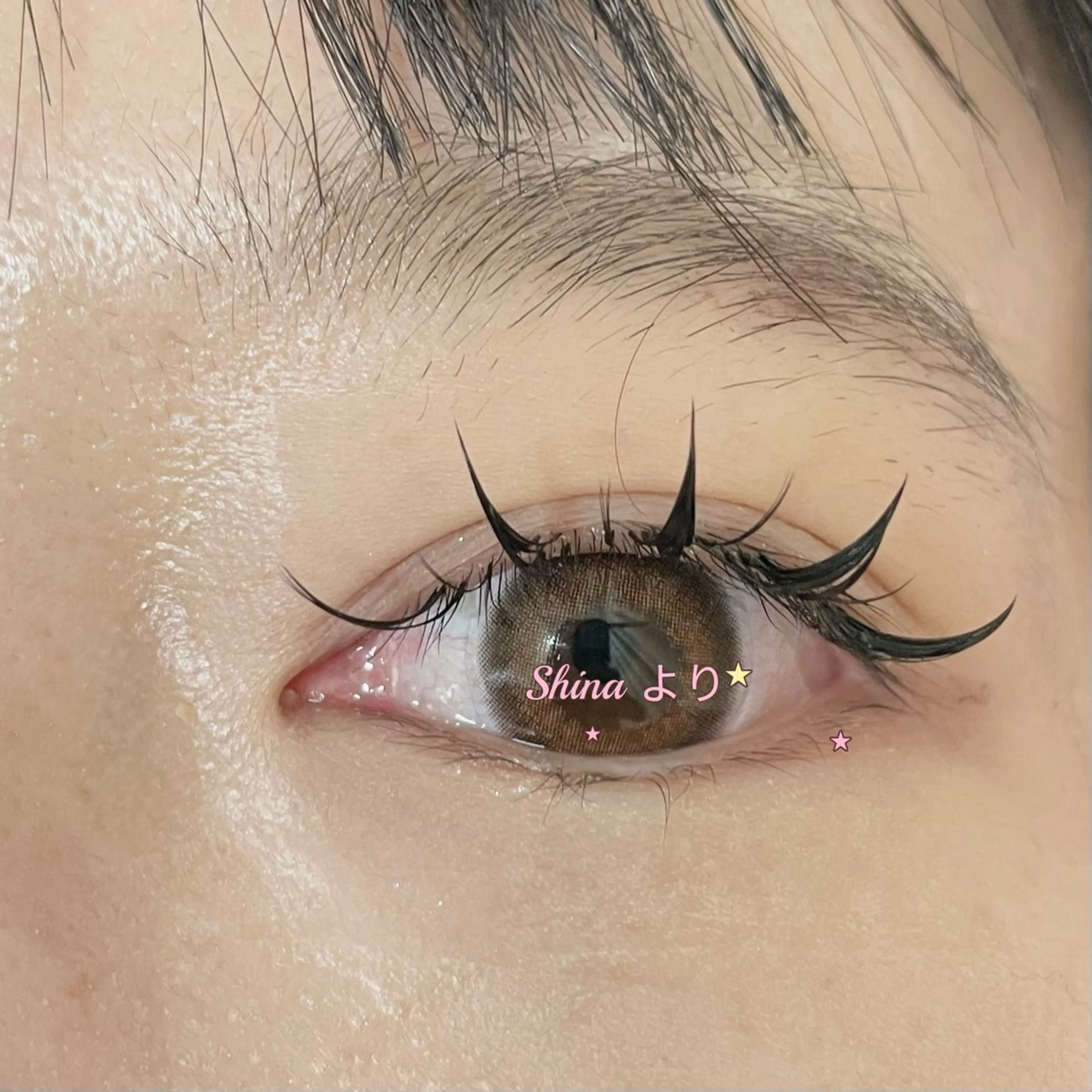 マツエク・マツパ マツエク Shina 🌺ワンホン専門のマツエク・マツパデザイン