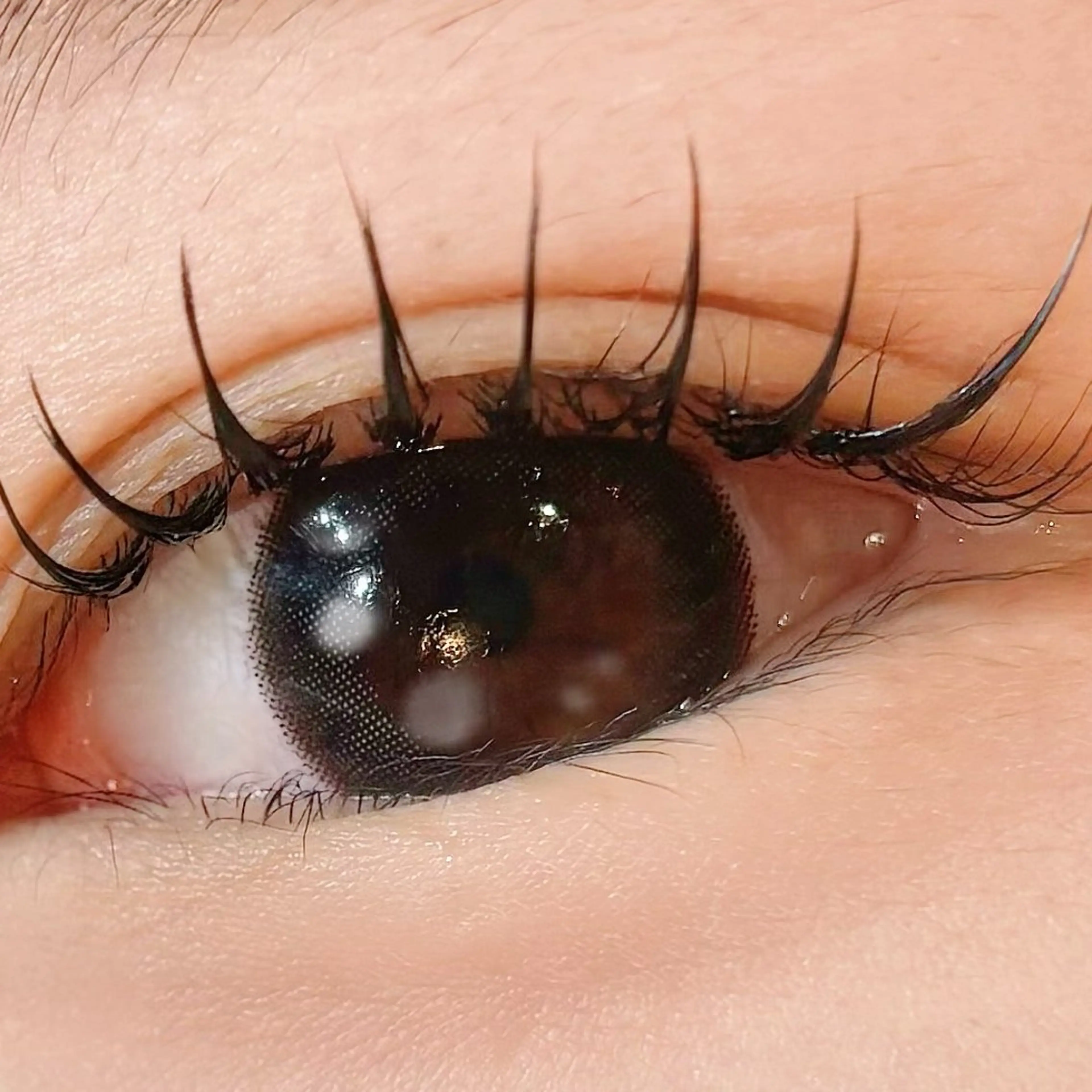 LEDエクステ つけ放題　（オフなし）　アイシャンプーの写真