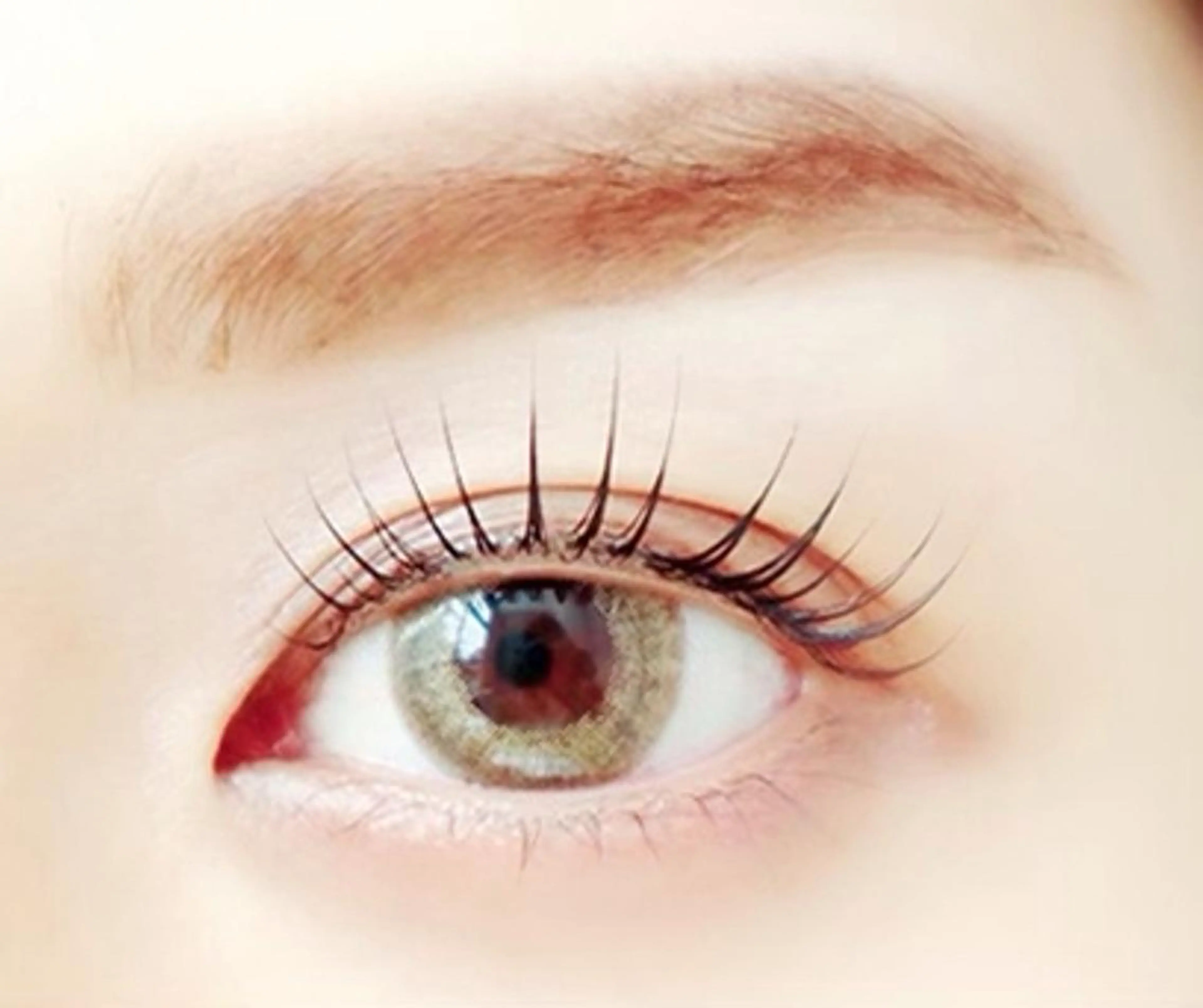 最新コスメリフト⭐︎特殊な機械で立ち上げ、全商材ケラチン配合の痛まないまつ毛パーマ❤️の写真