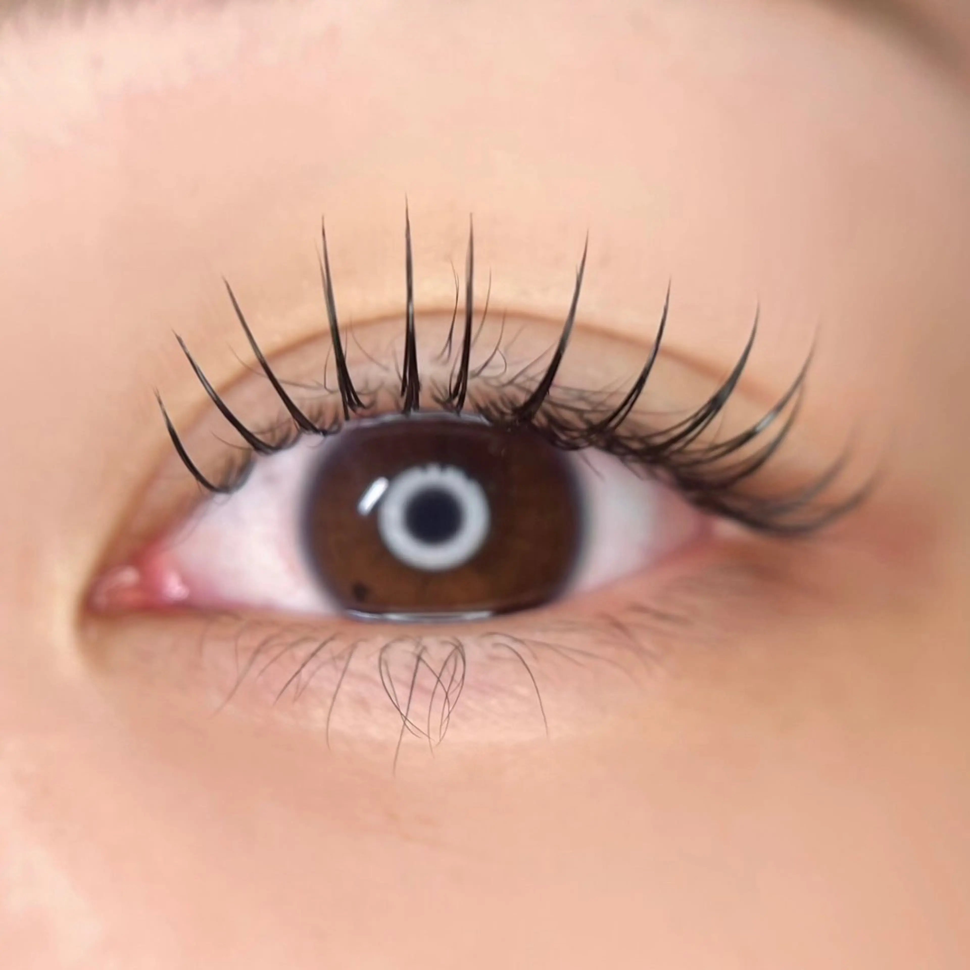 マツエク・マツパ マツエク 🤍南流山MaaZ staff1⃣🤍のマツエク・マツパデザイン