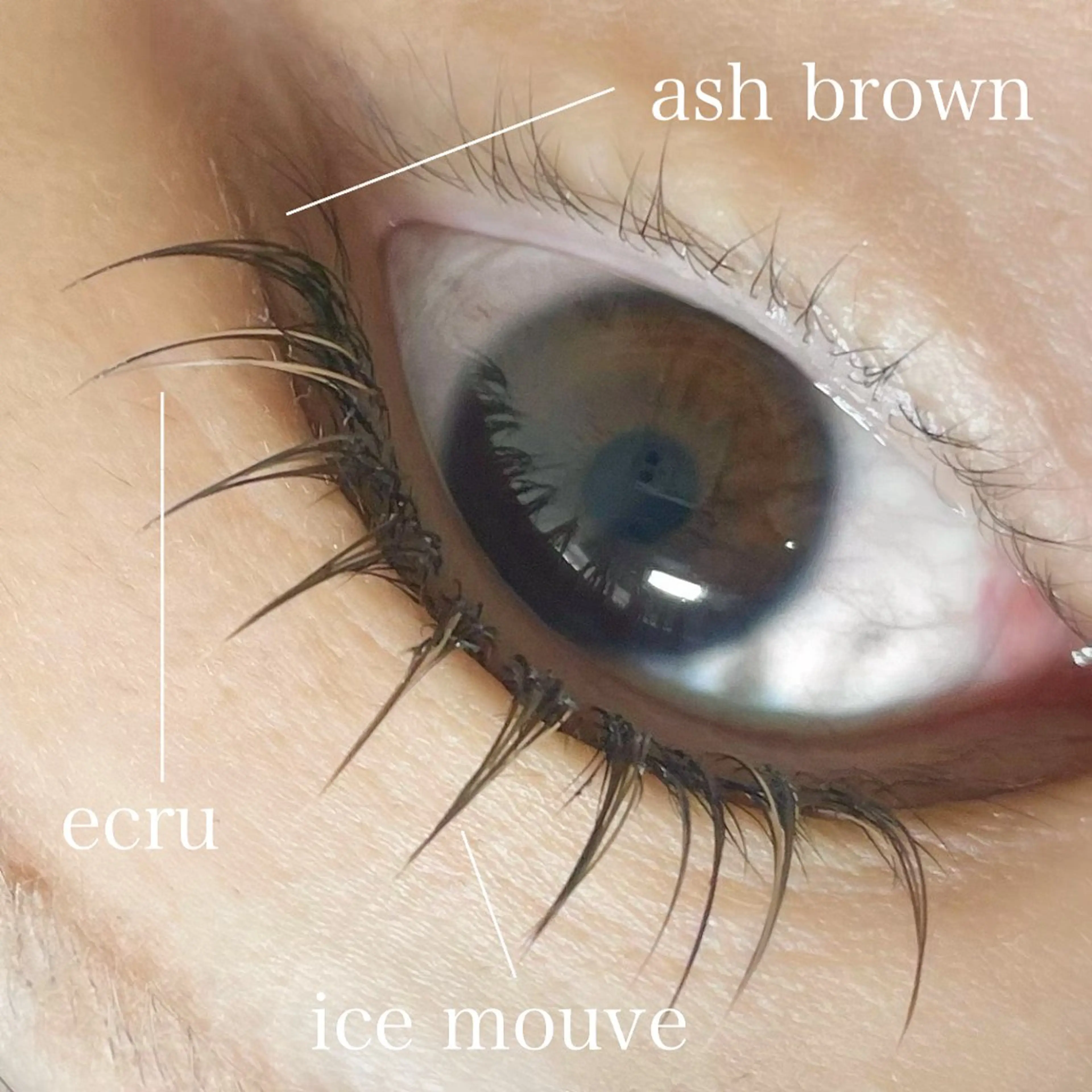 マツエク・マツパ salut ayakaのマツエク・マツパデザイン