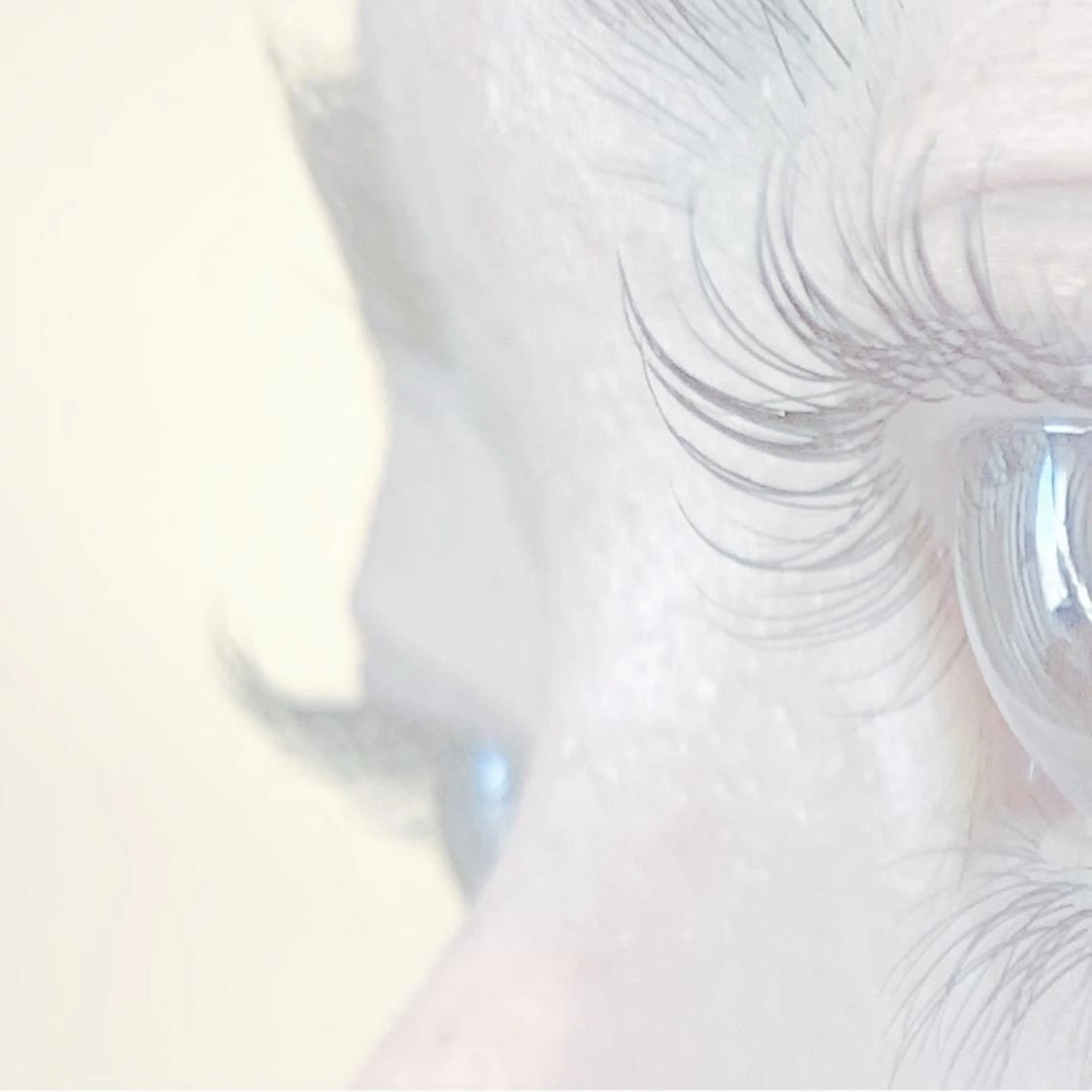 マツエク・マツパ 土屋 智子のエステ・リラクイメージ