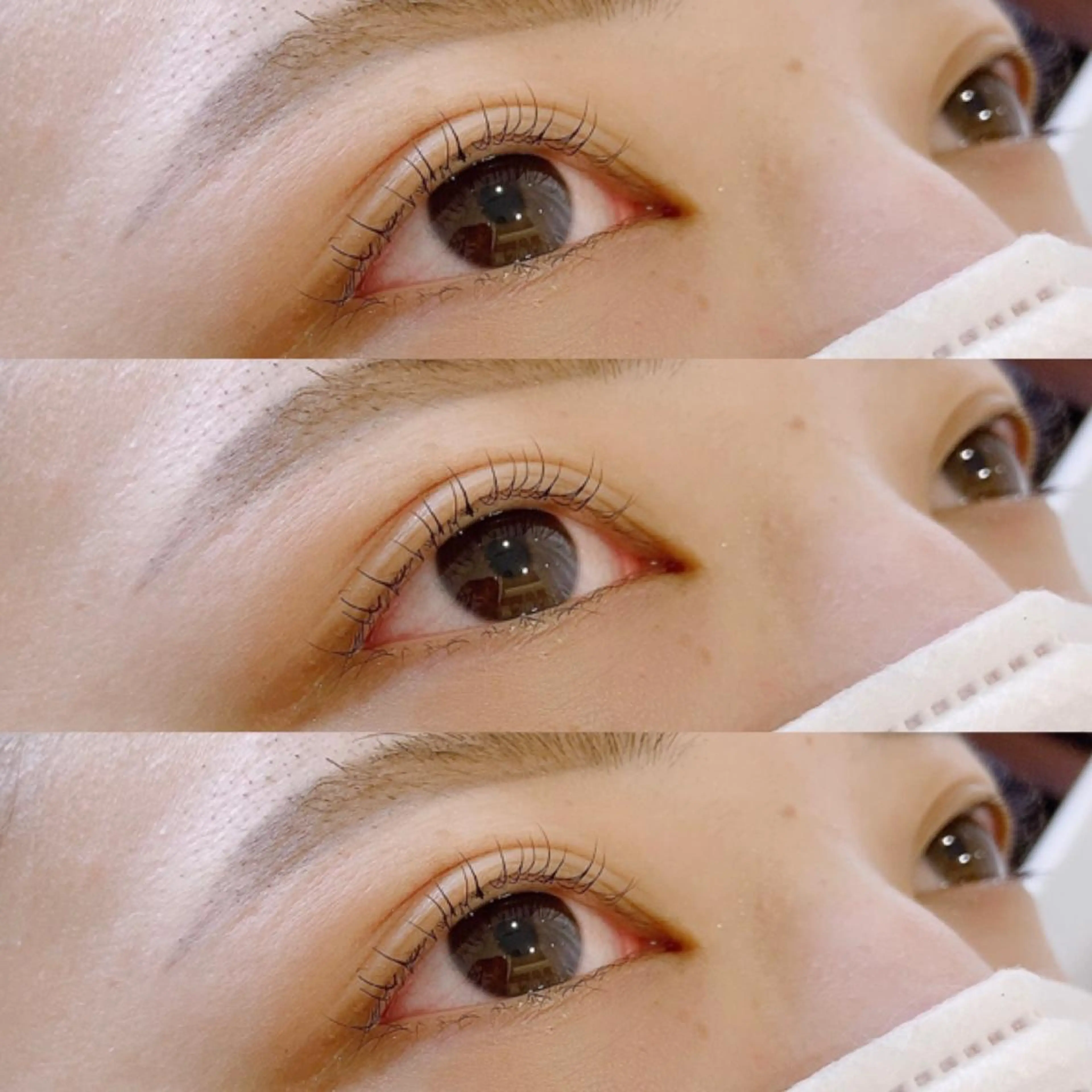 マツエク・マツパ パリジェンヌラッシュリフト ✧elpatio✧︎ 小出紗羅のマツエク・マツパデザイン