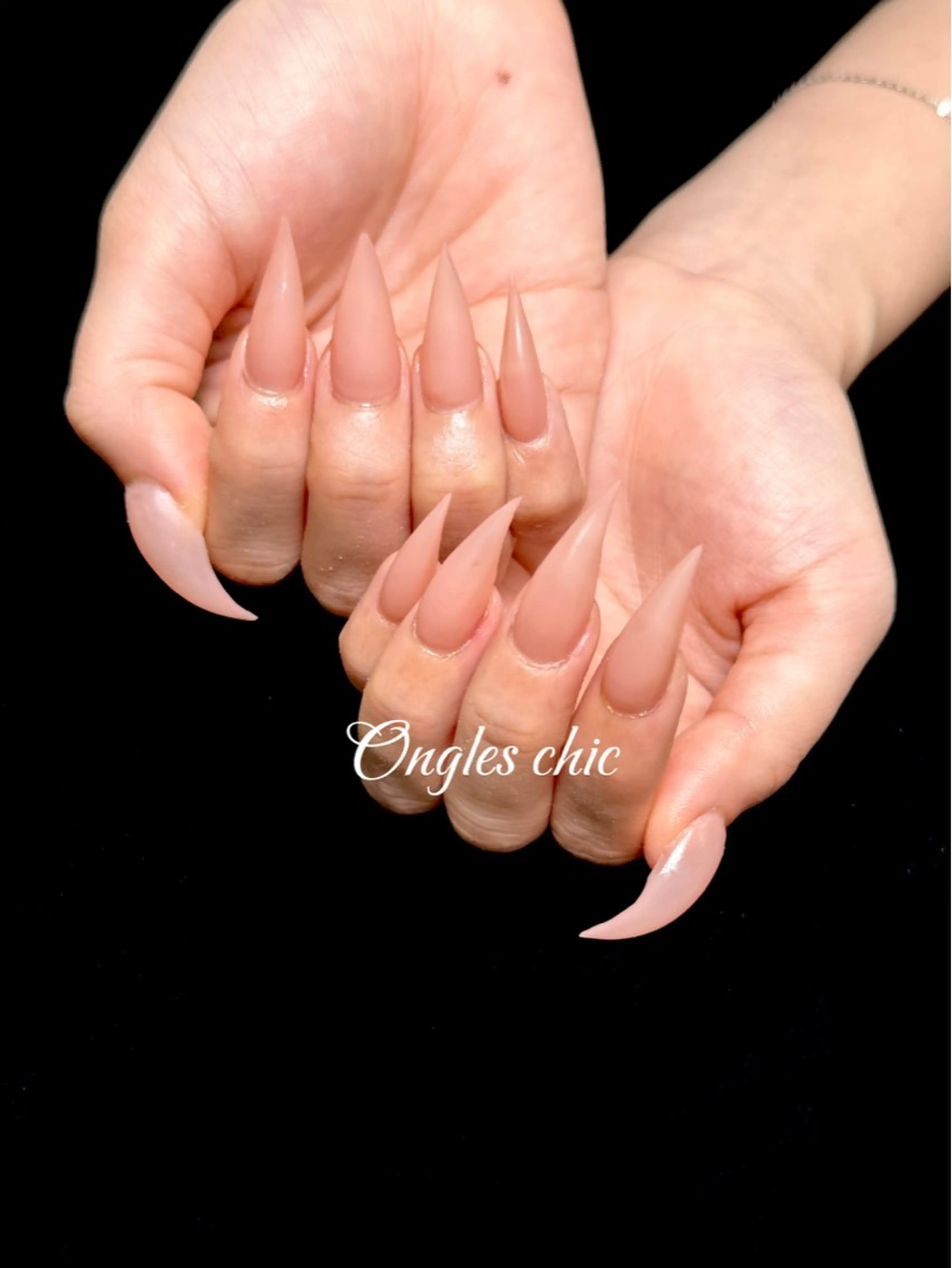 ネイル ハンドネイル ongles chicのネイルデザイン