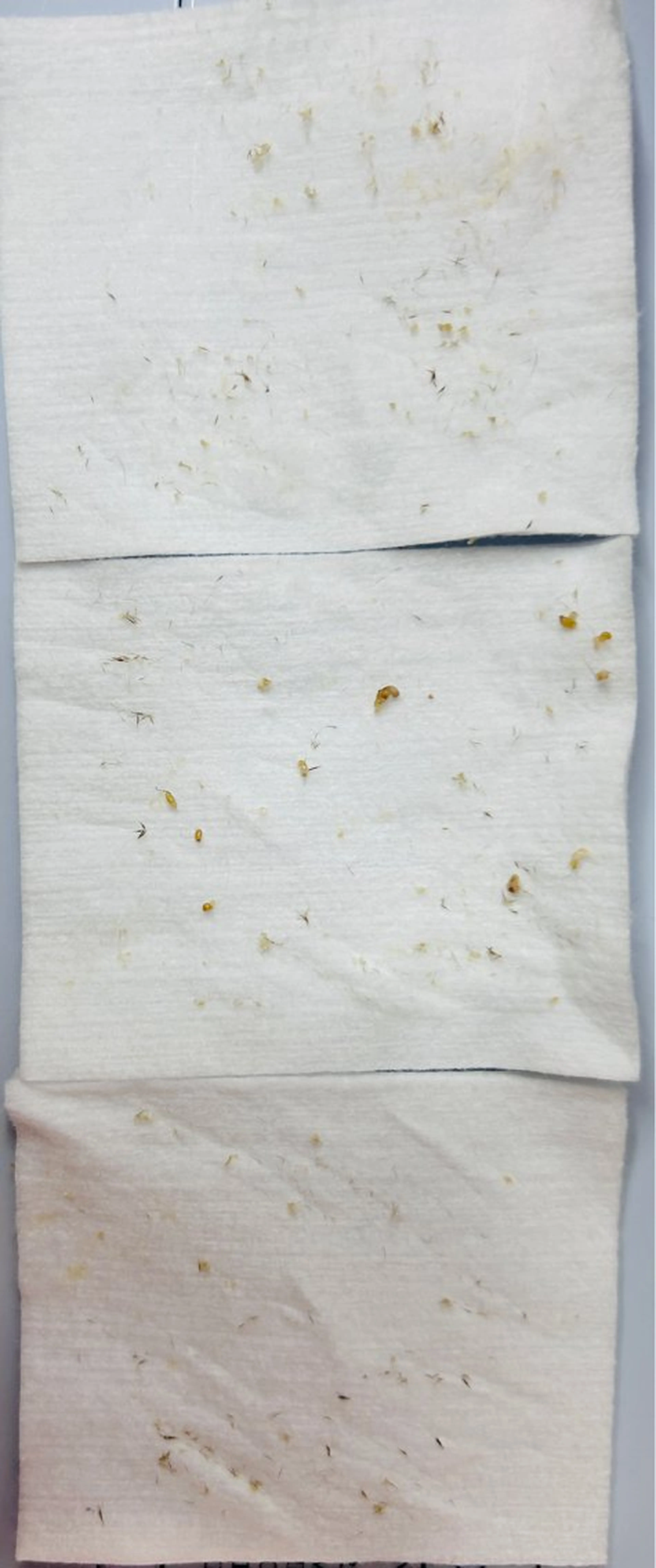 Beauty Zionのエステ・リラクイメージ