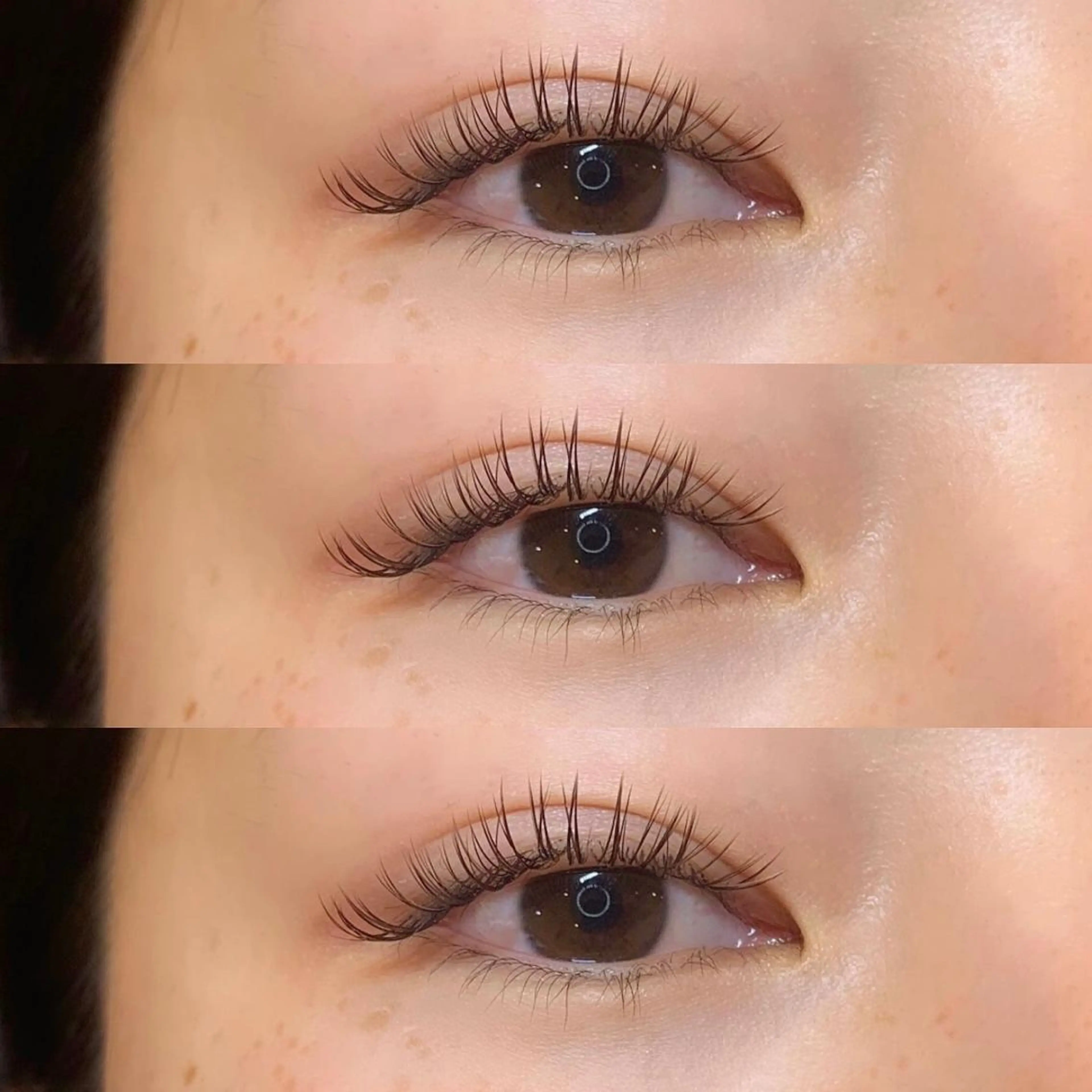 バインドロック 100束🥂束感コーティング仕上げ🪄の写真