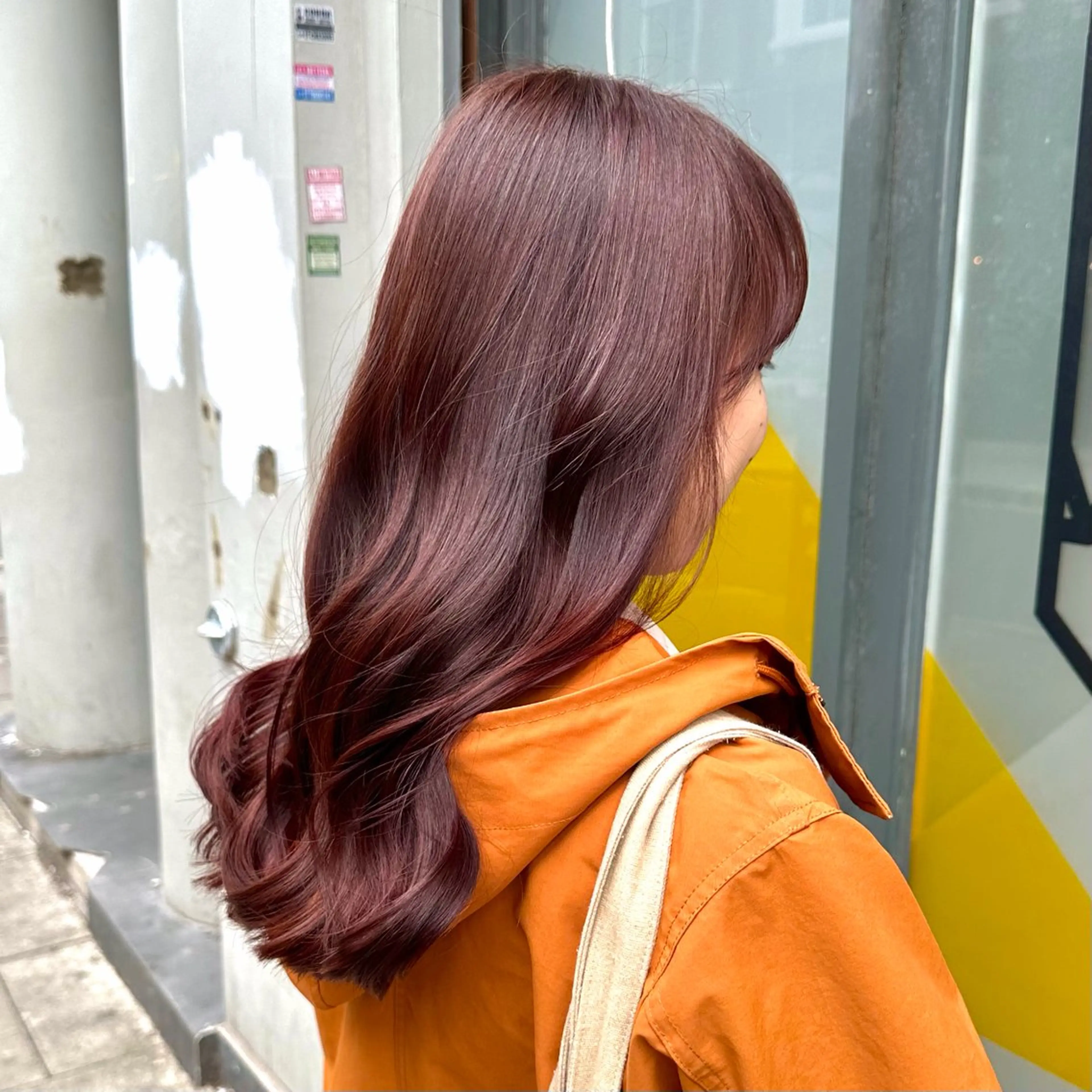 セミロング カラー ワクダ アイリのヘアスタイル