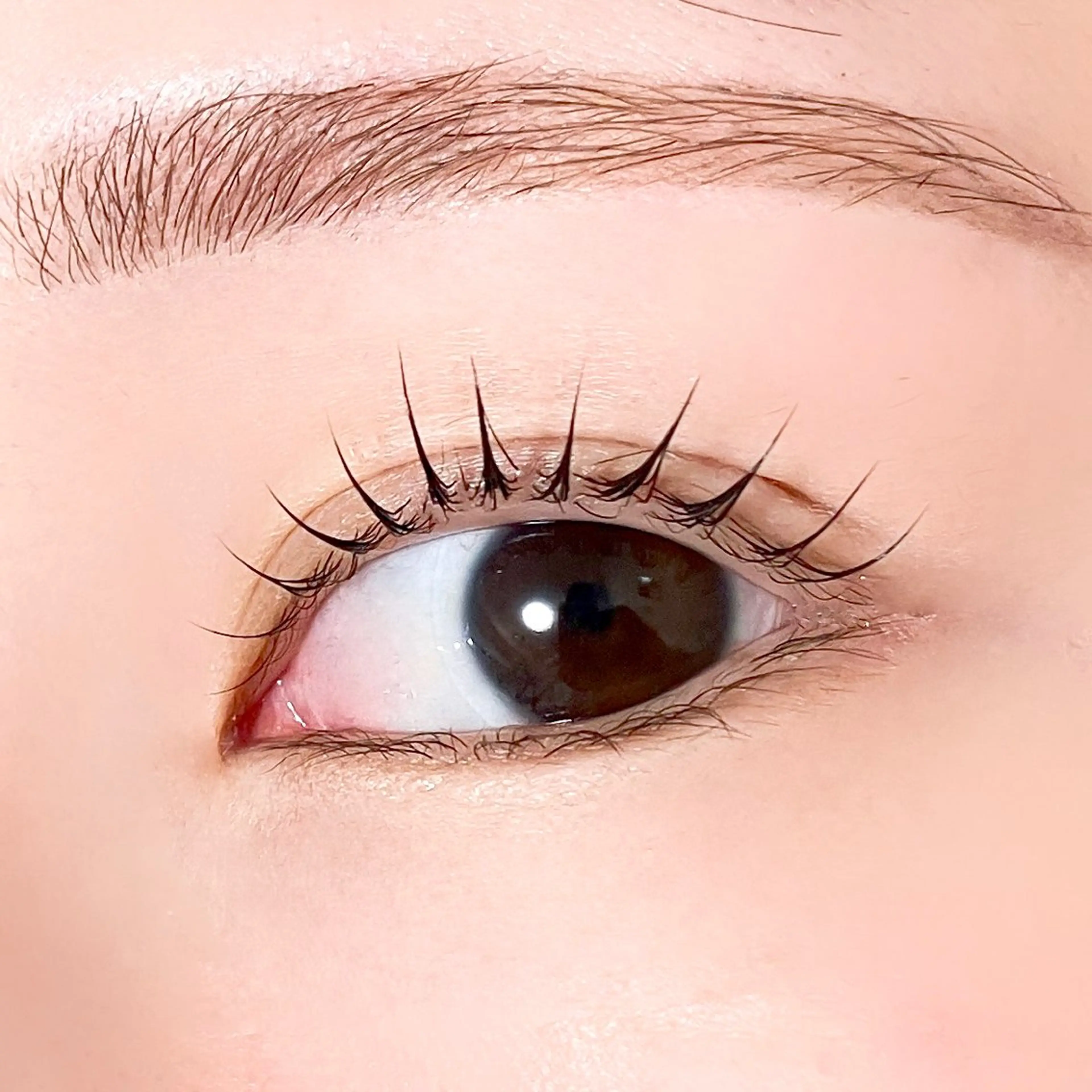 マツエク・マツパ 束感まつ毛 韓国風マツエク パリジェンヌラッシュリフト まつげパーマ 一重×まつ毛パーマ 束感まつげ｜ユキ 高評価｜堀江のマツエク・マツパデザイン