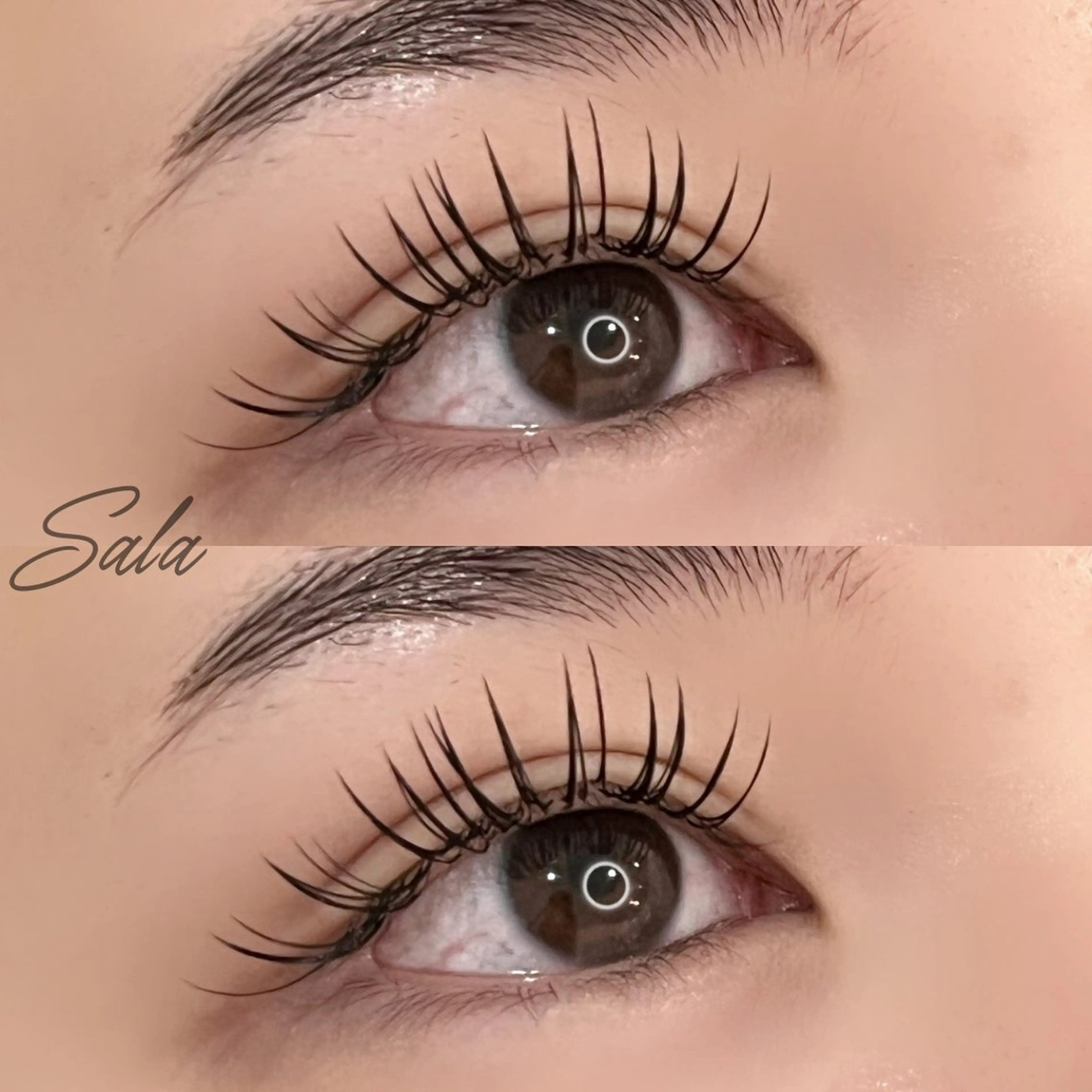 マツエク・マツパ マツエク トータルビューティー サロンSalaのマツエク・マツパデザイン