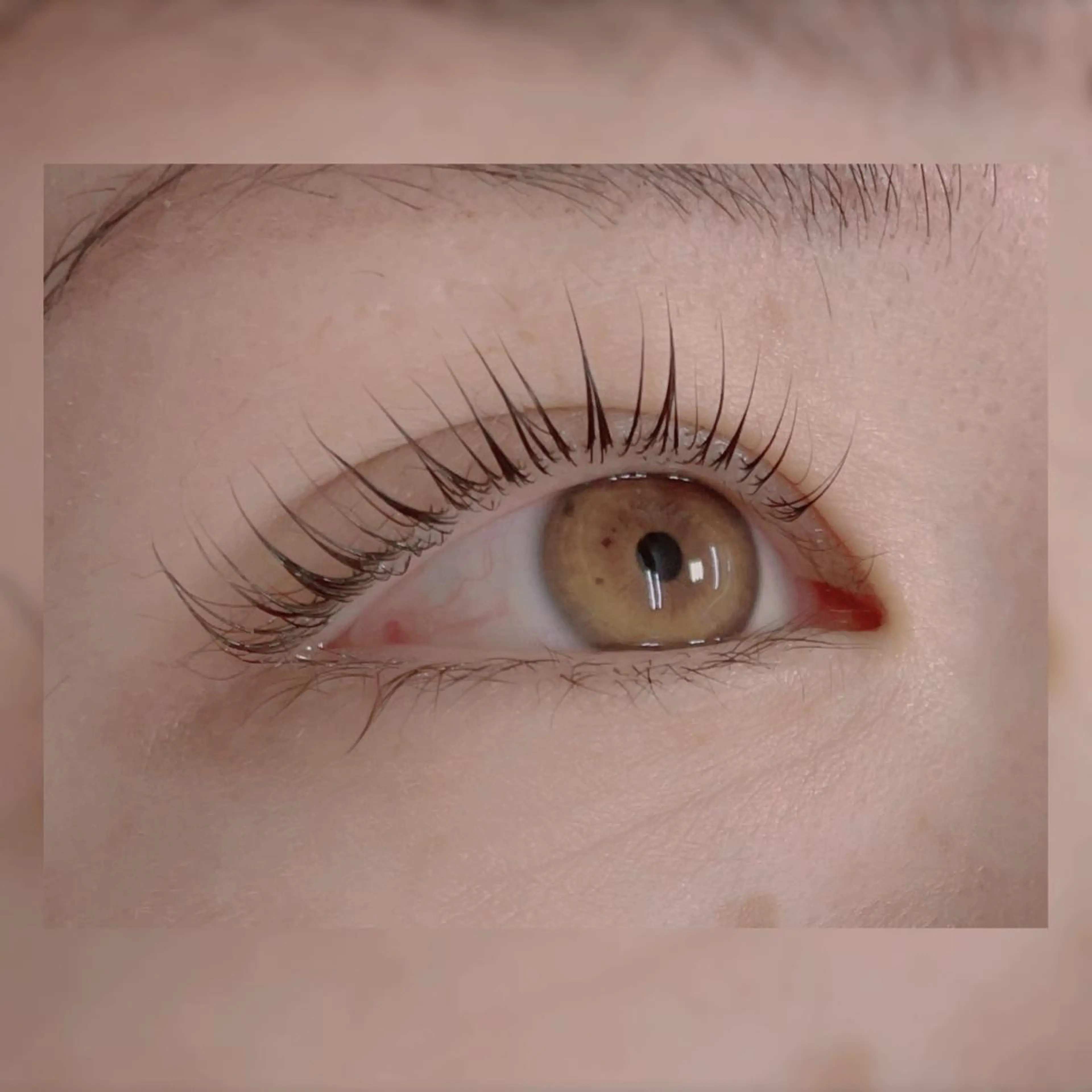 マツエク・マツパ パリジェンヌラッシュリフト Natural Eyebrow 東松戸店所属・金山 💐のマツエク・マツパデザイン