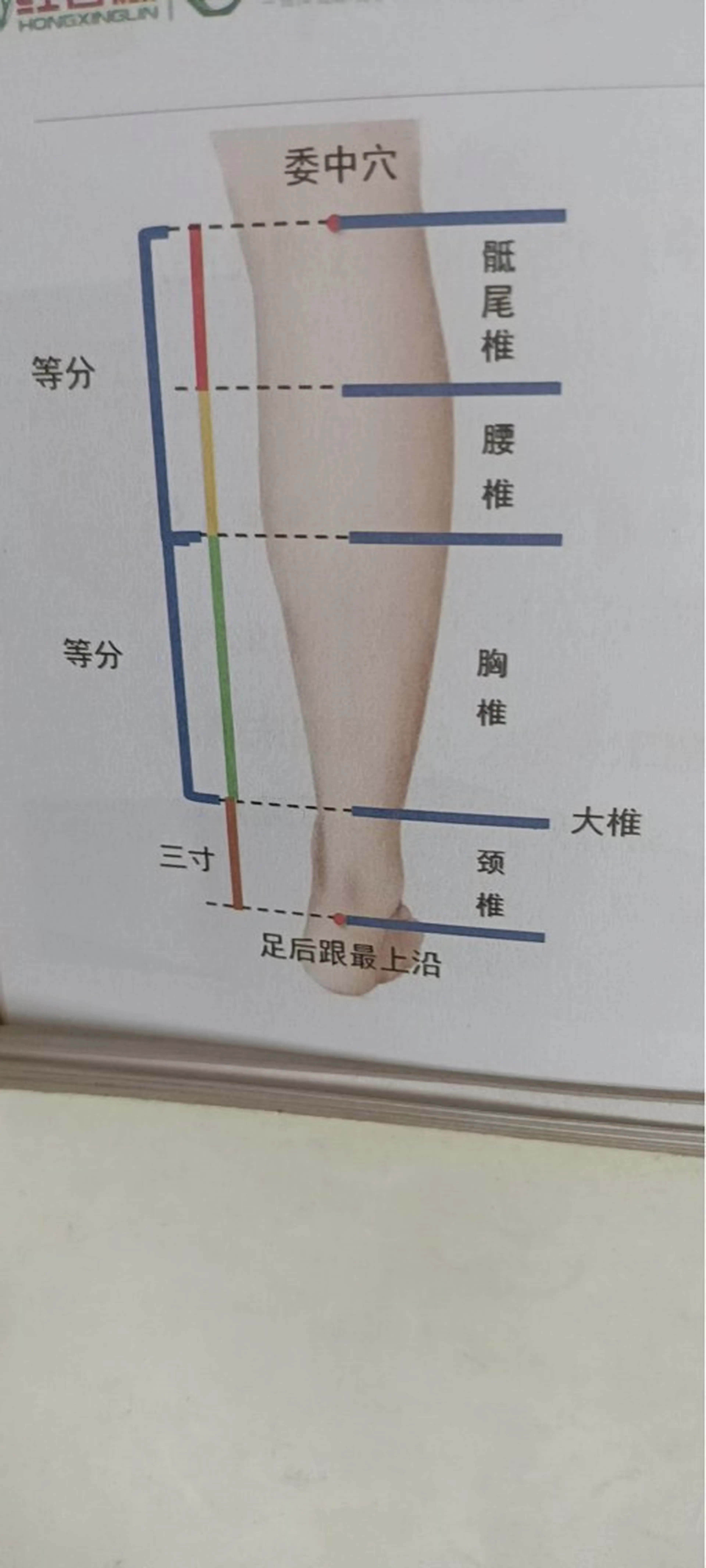 リラク ランランビューティーサロン所属・えん (盈伊佳癒)のエステ・リラクイメージ