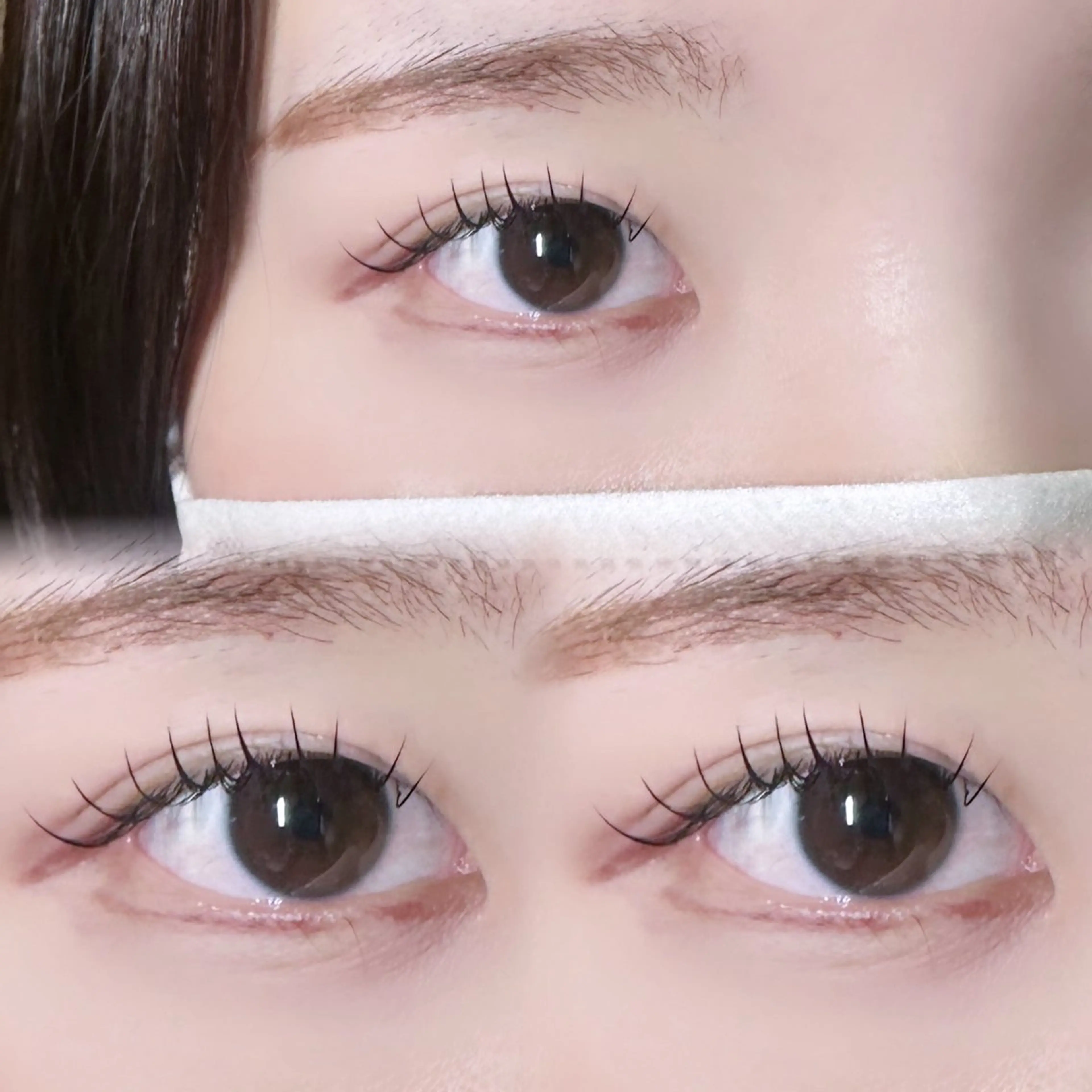 マツエク・マツパ ナチュラル 【MEPP】たにわき ゆうなの眉毛・アイブロウイメージ