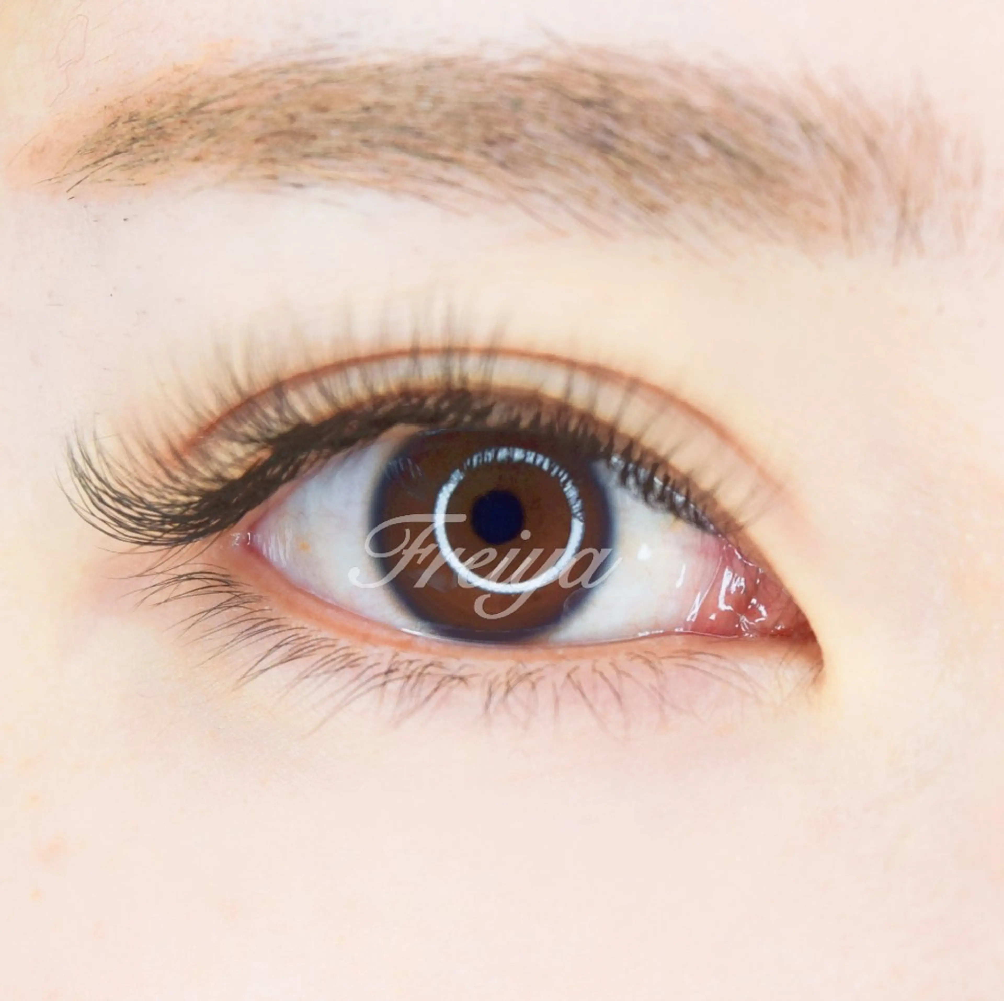 LEDマツエク練習モデル【注意事項必ず確認】4/13～4/17限定【17時以降❌】セーブル100～140本【時間制】の写真