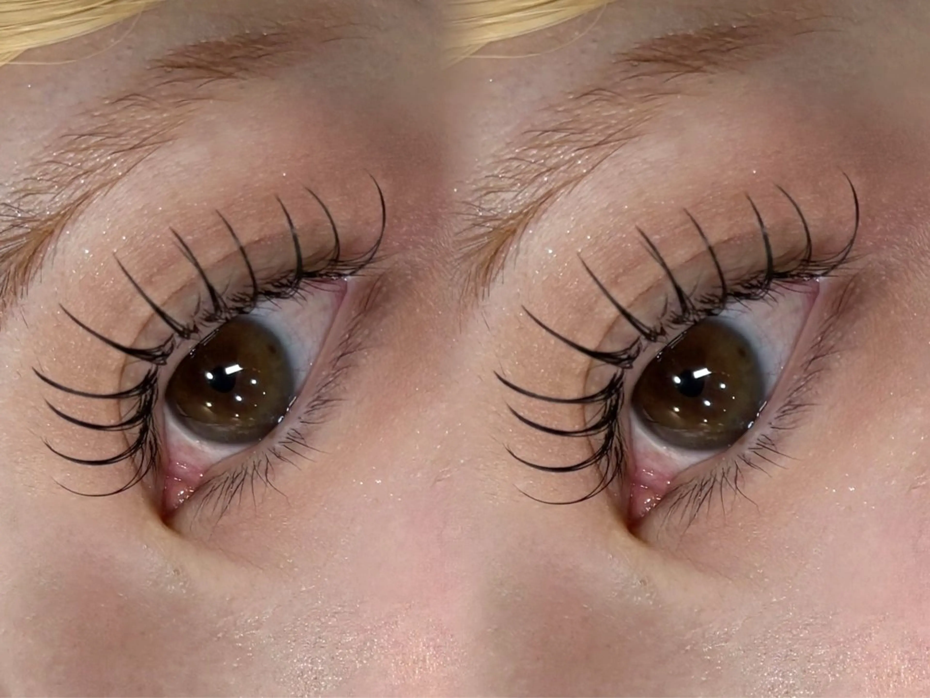 【平日限定】フラットラッシュLED100本の写真