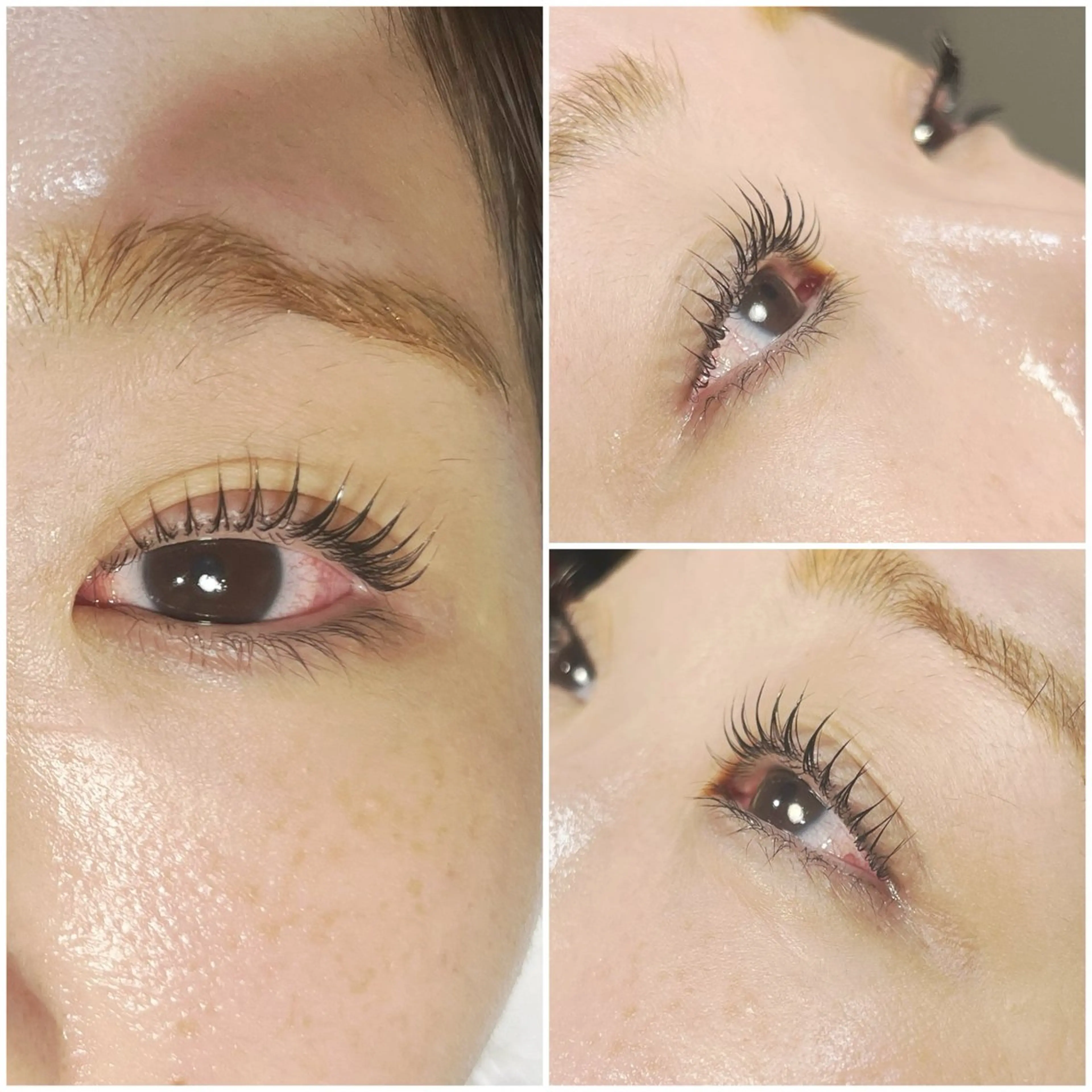 限定★パリジェンヌラッシュリフトの写真