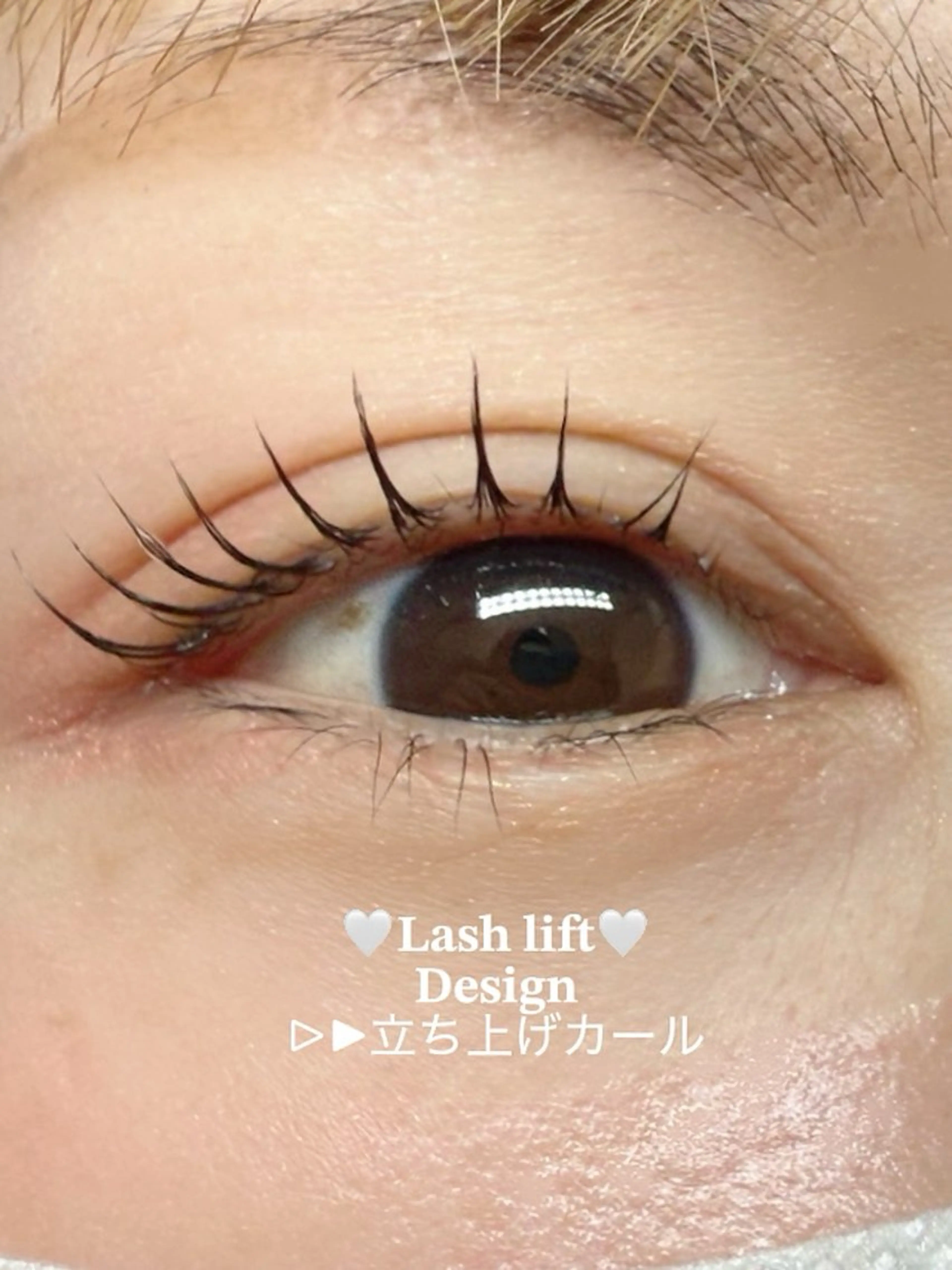 マツエク・マツパ マツパ LORAN Lim 工藤の眉毛・アイブロウイメージ