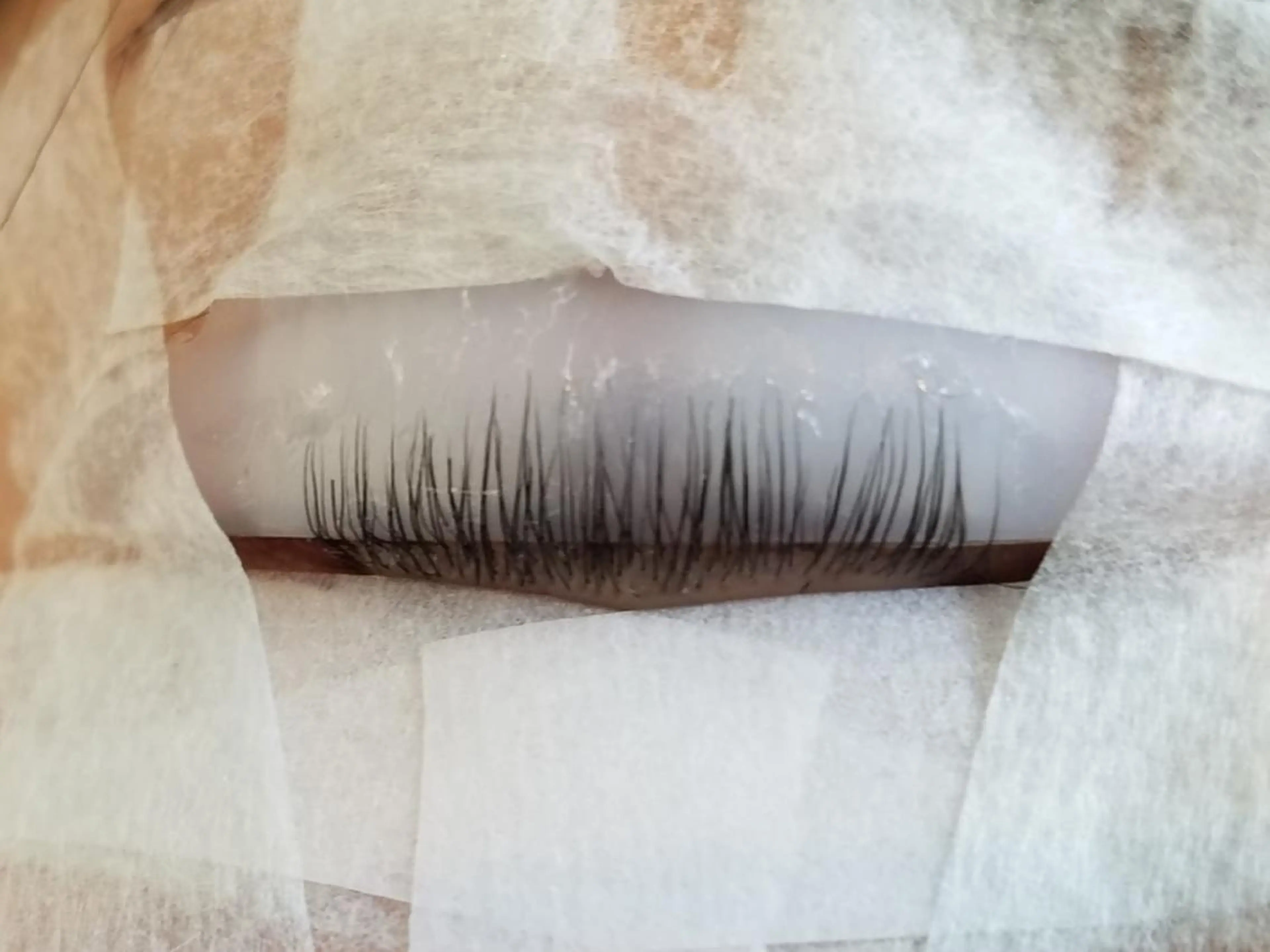 マツエク・マツパ アッパーリフトカール セレビアイ　磯山☆ LEDエクステ☆立川のマツエク・マツパデザイン