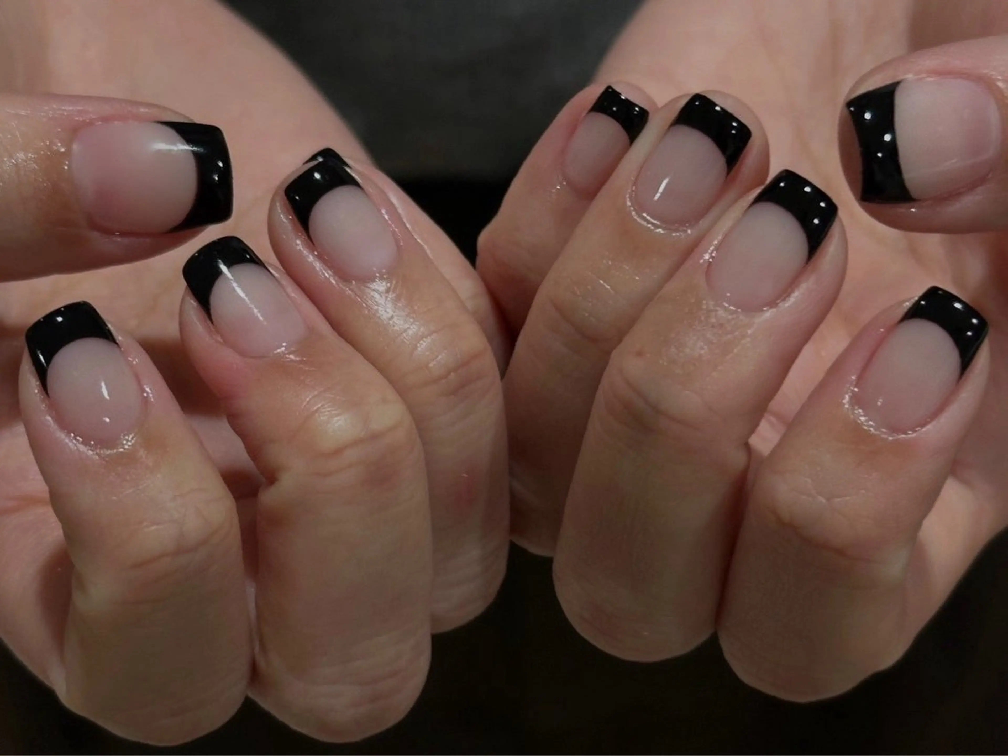 4/15日付限定【オフあり】フレンチの写真